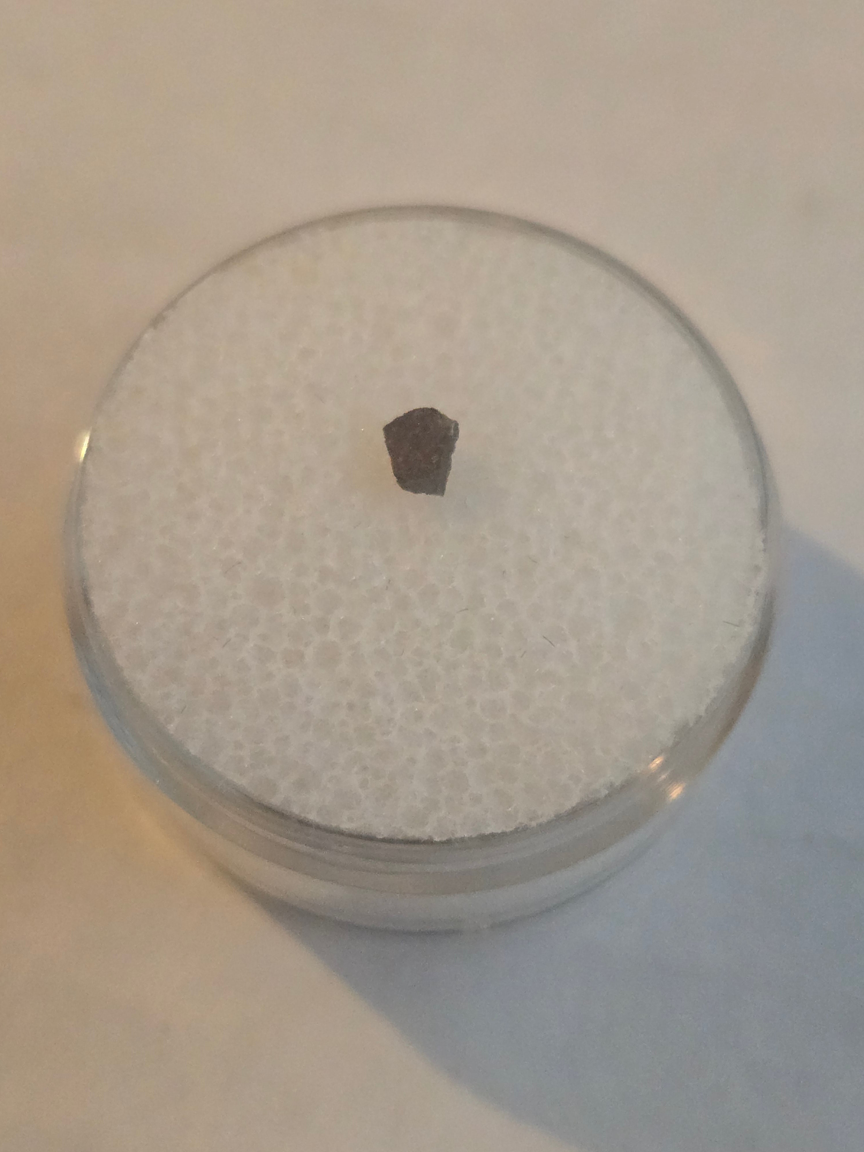 NWA 2822 Meteorite Specimen