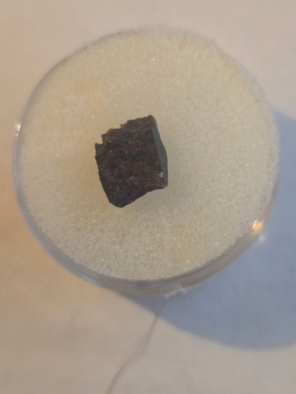 NWA 2851 meteorite specimen