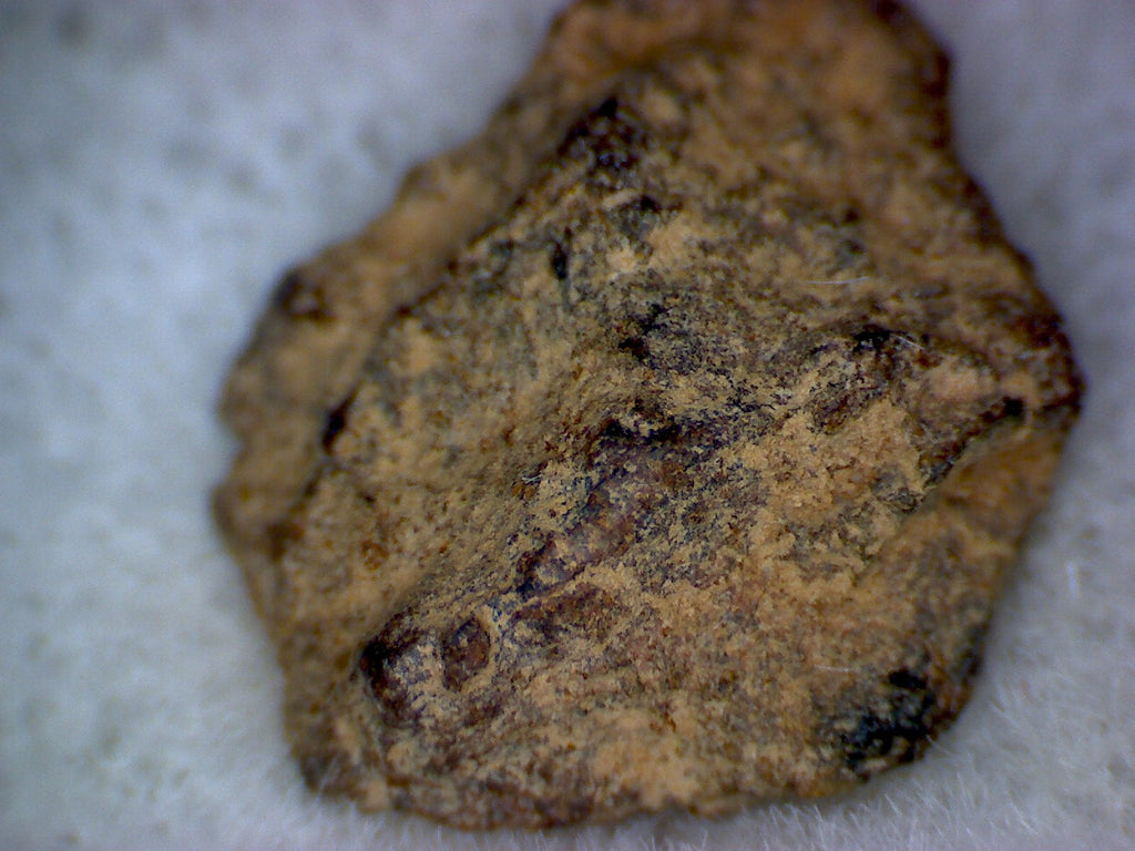 NWA 2924 meteorite