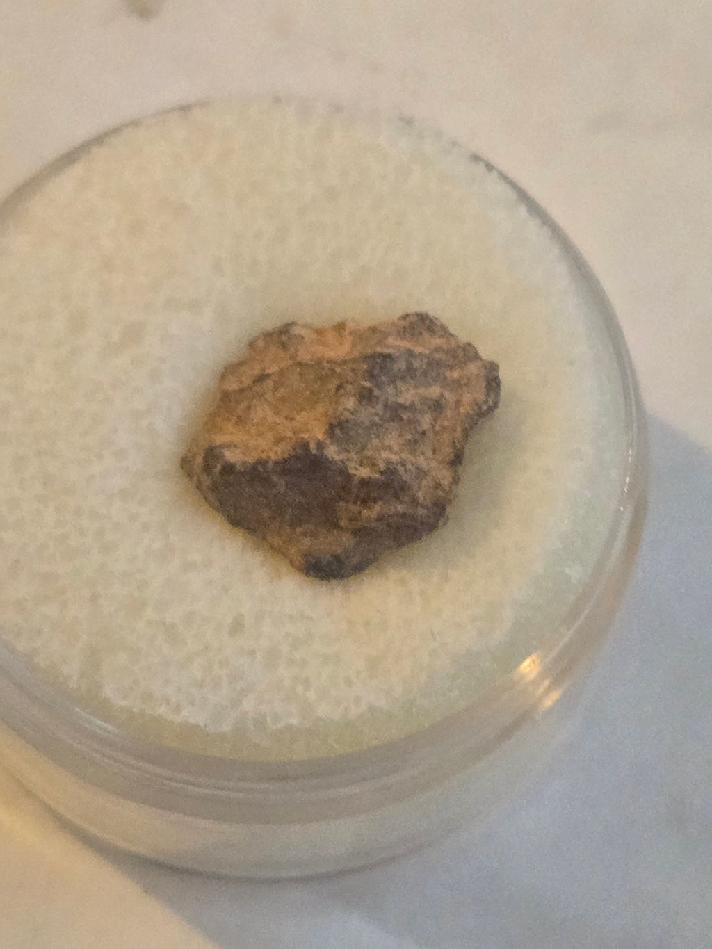 NWA 2924 meteorite