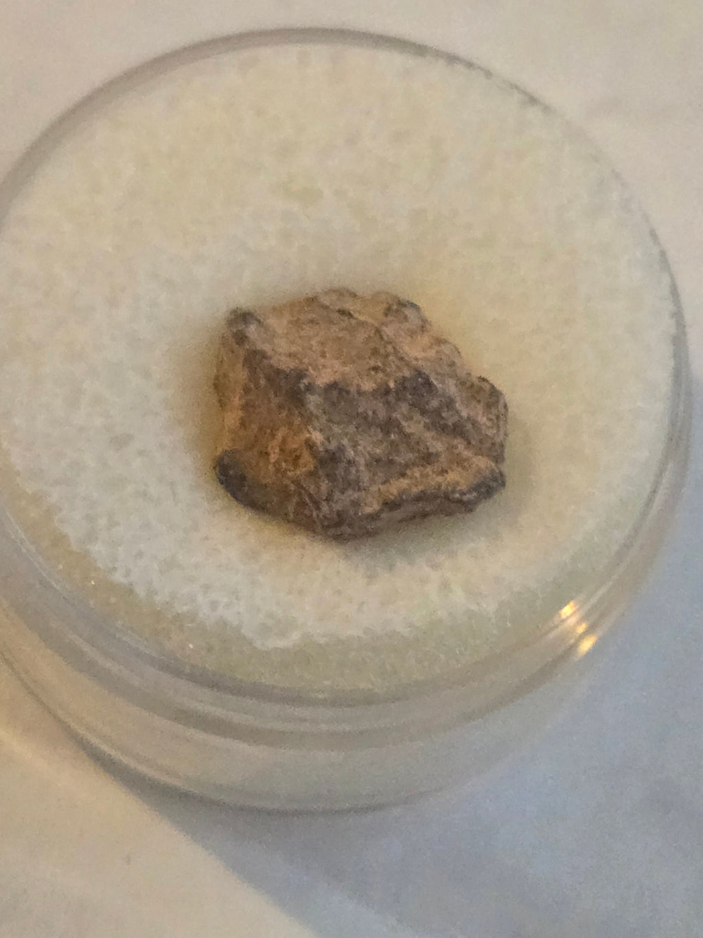 NWA 2924 meteorite