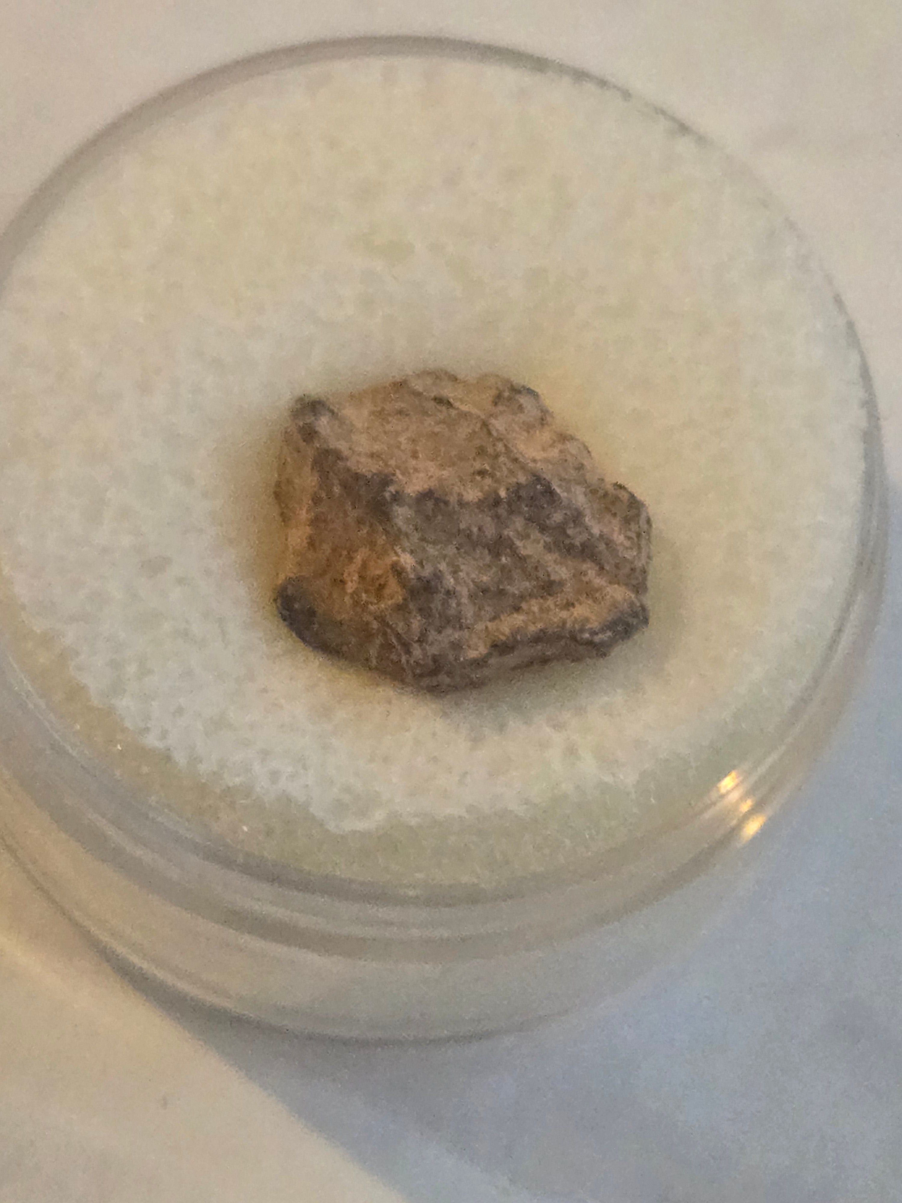 NWA 2924 meteorite