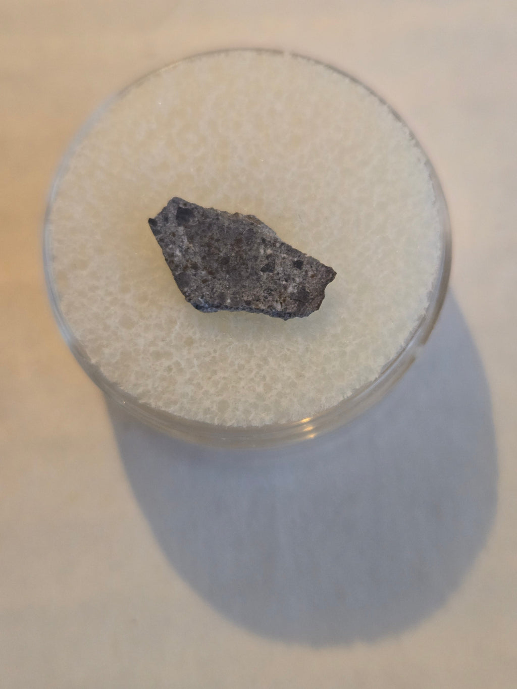 NWA 4051 meteorite