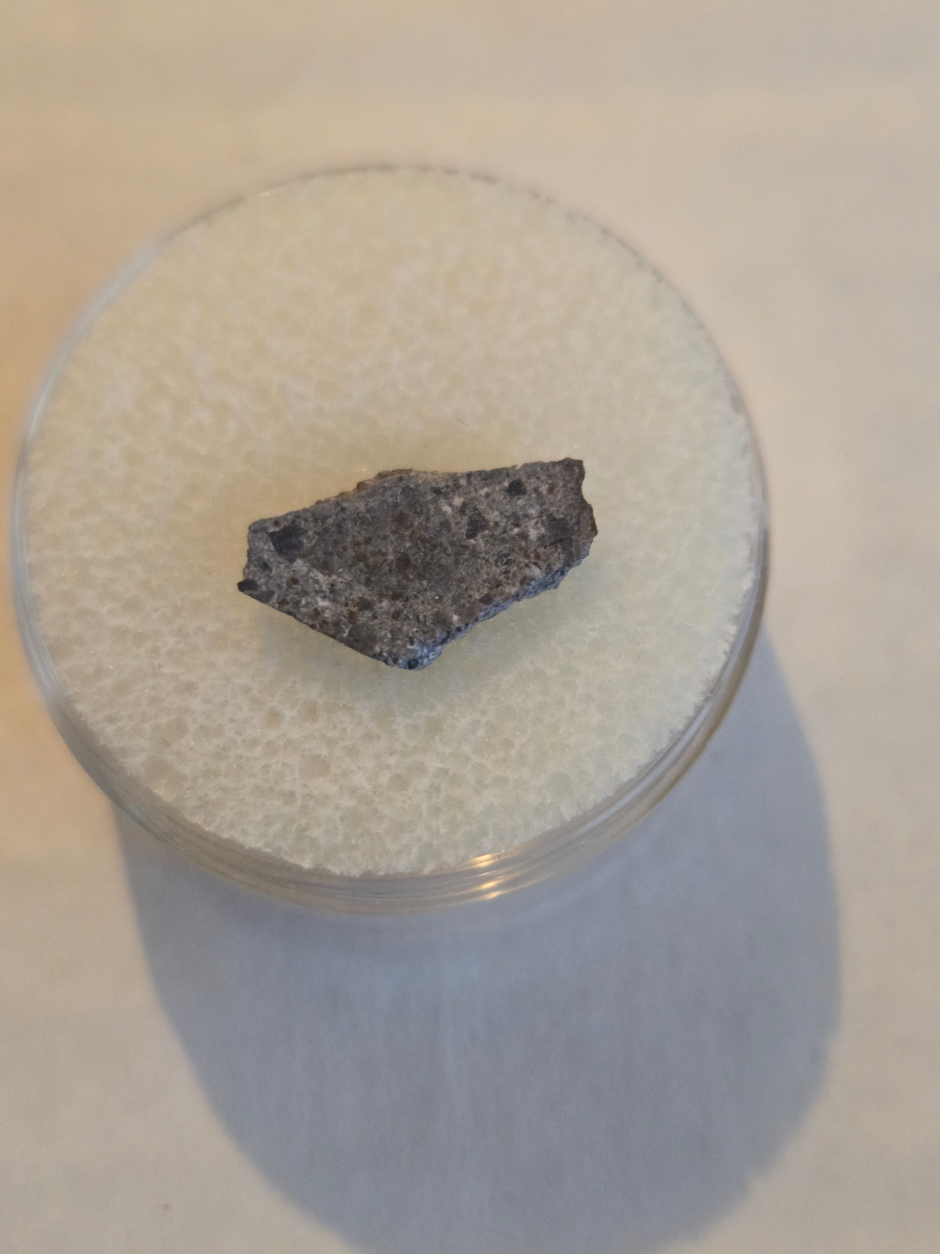 NWA 4051 meteorite