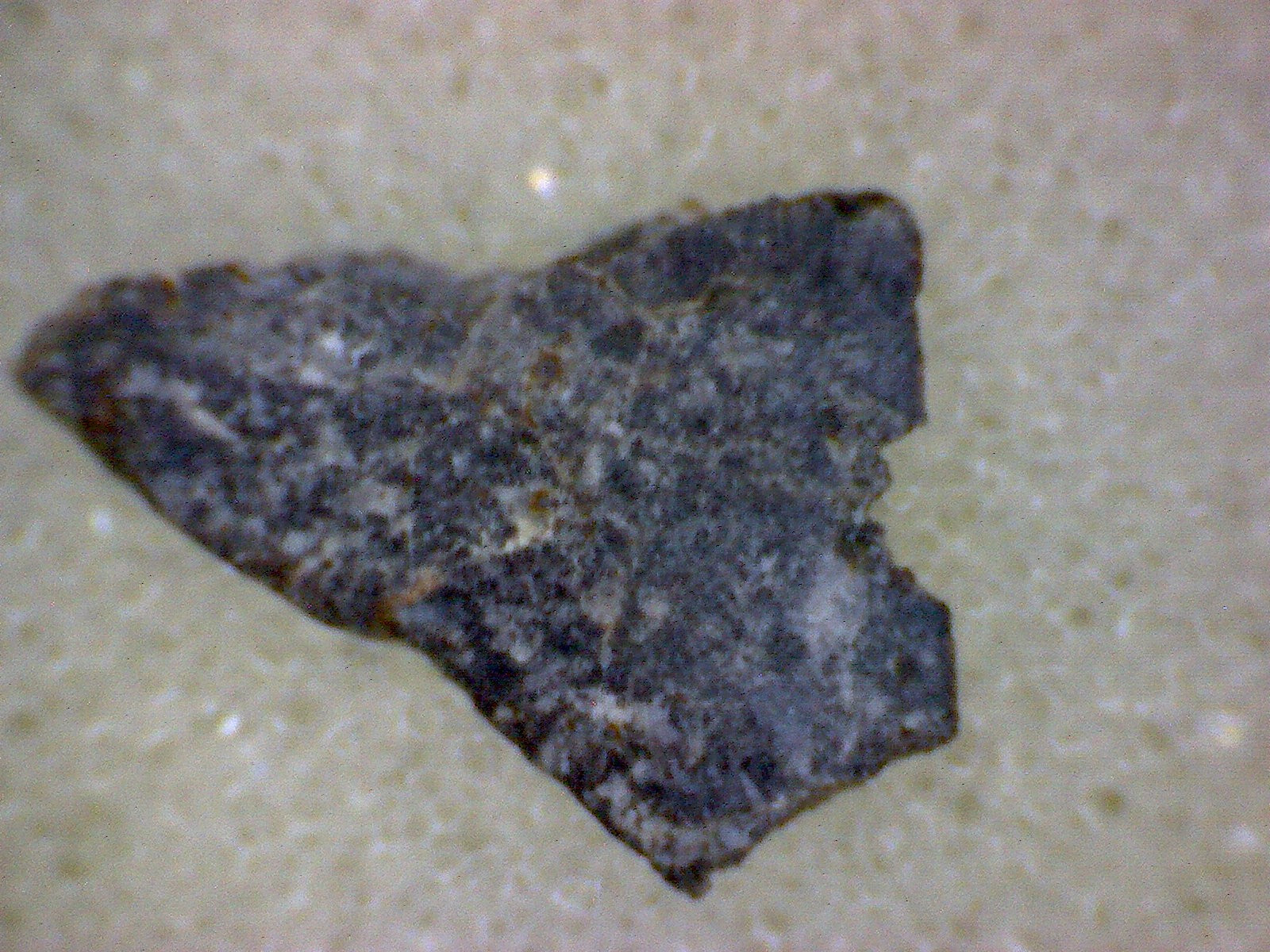 NWA 4051 Meteorite Specimen