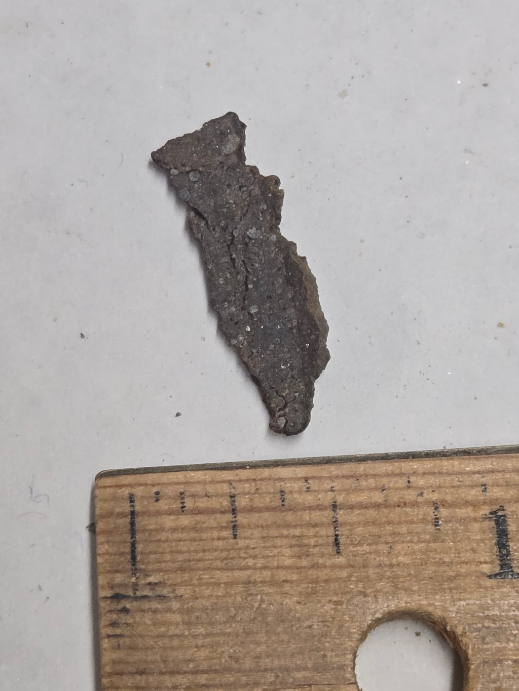 NWA 4686 meteorite