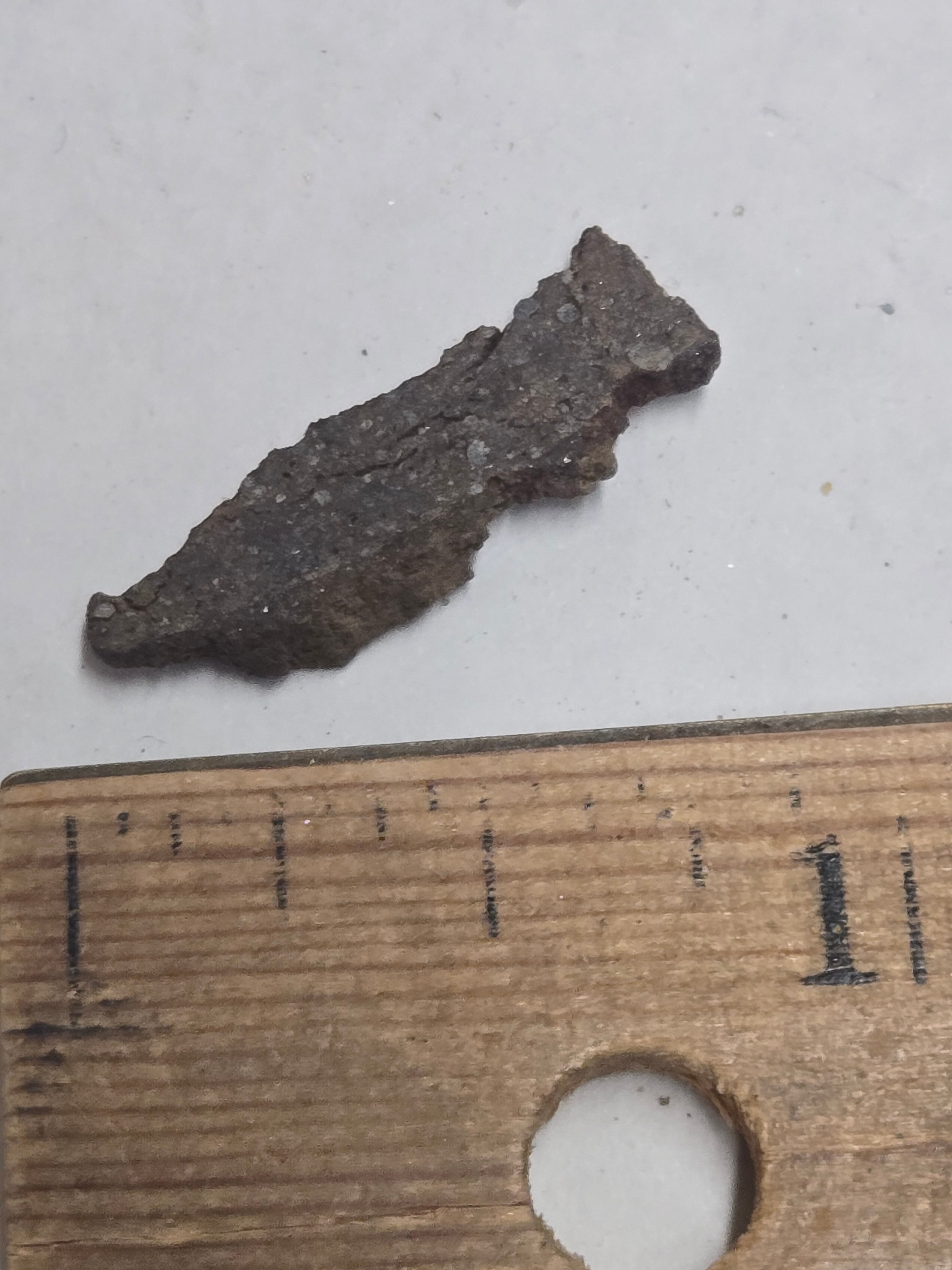 NWA 4686 meteorite