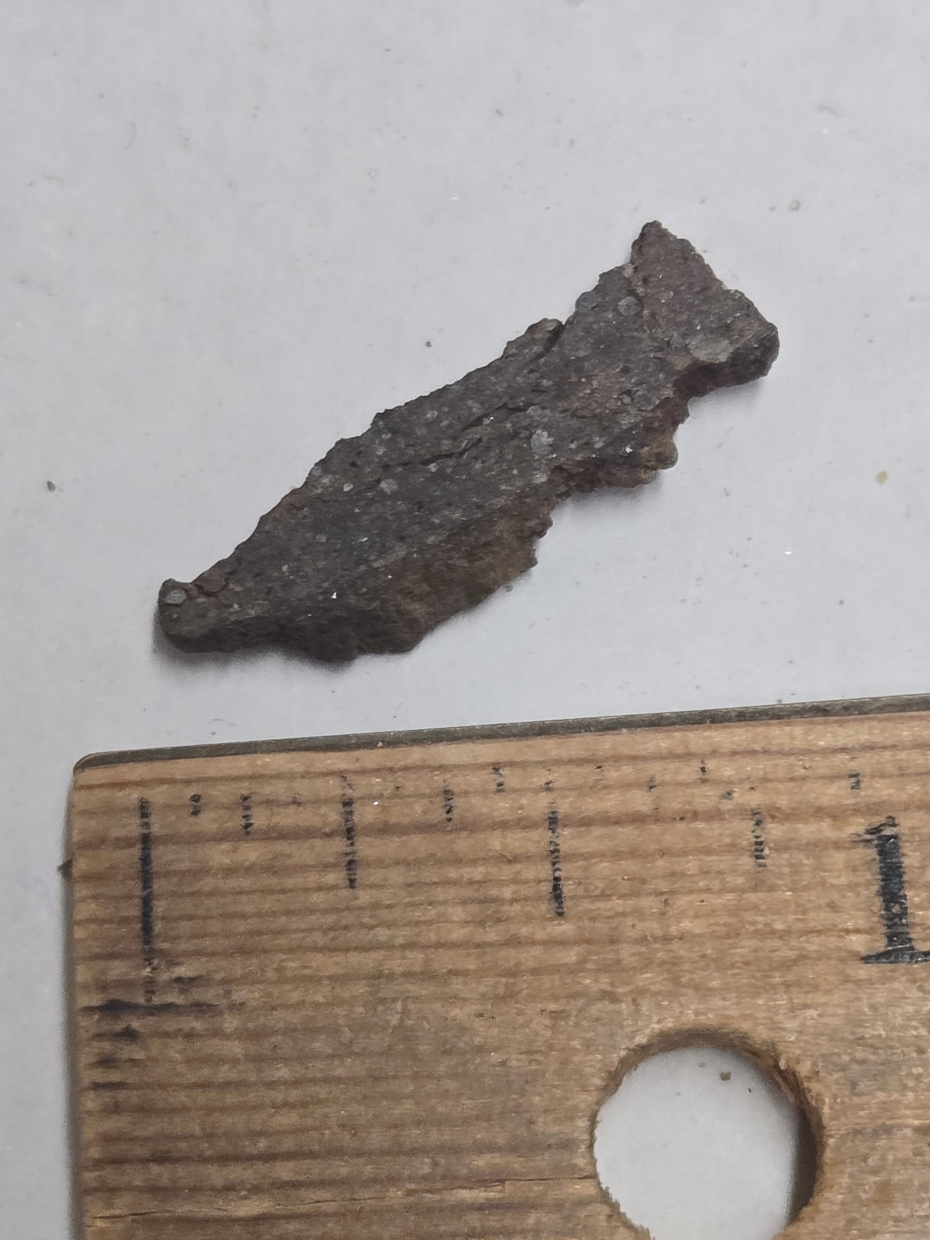 NWA 4686 meteorite