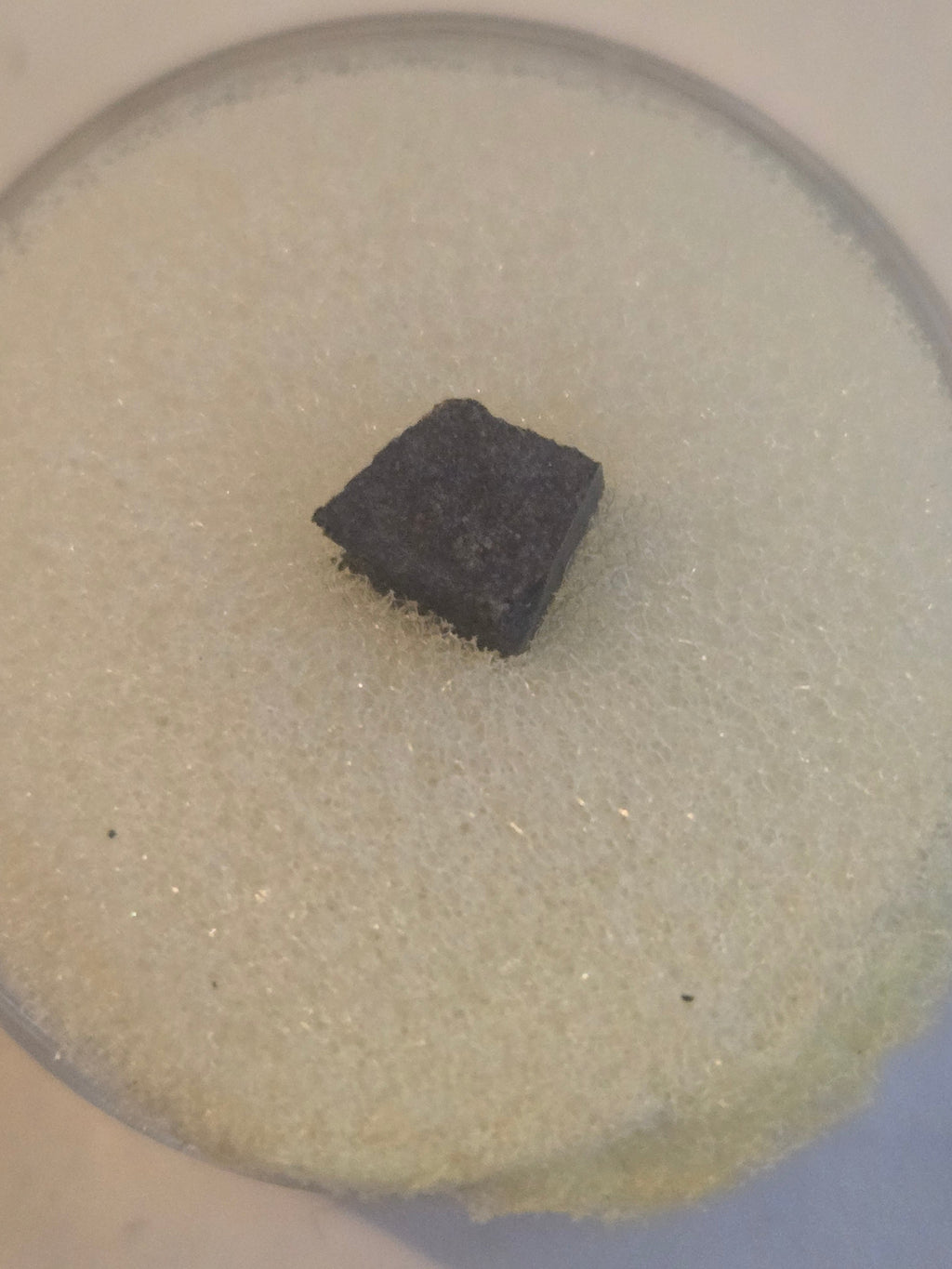 NWA 5189 meteorite specimen