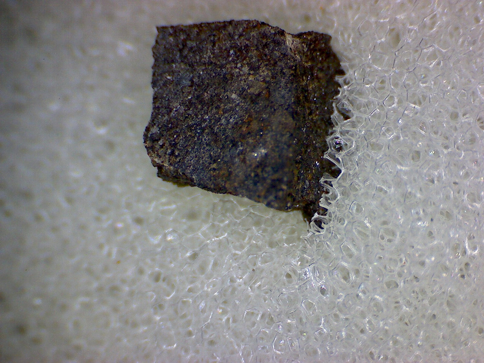 NWA 5189 meteorite specimen