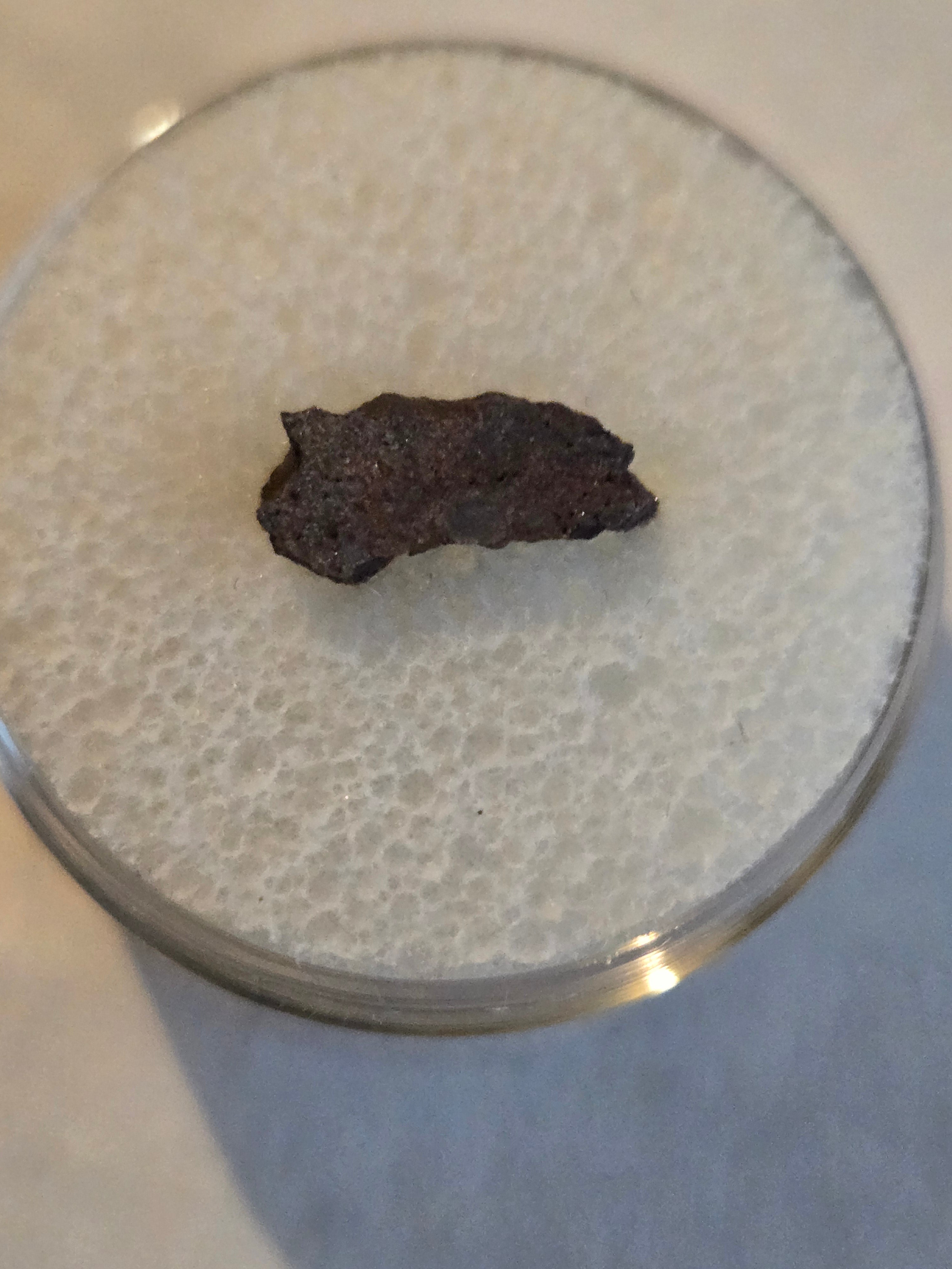 NWA 5192 meteorite specimen