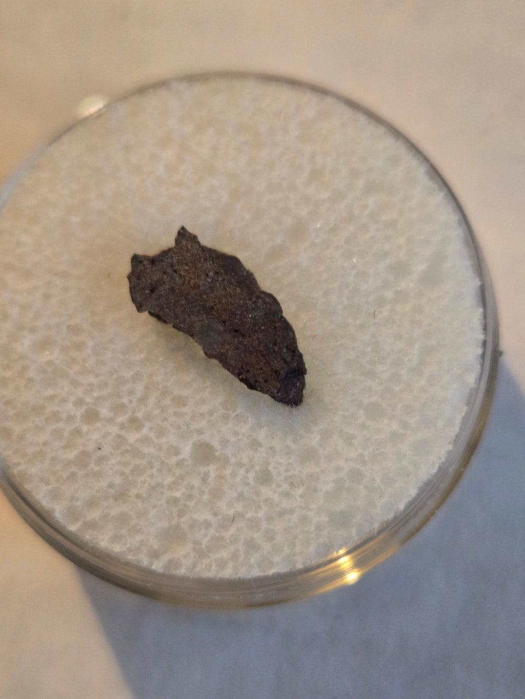 NWA 5192 meteorite specimen