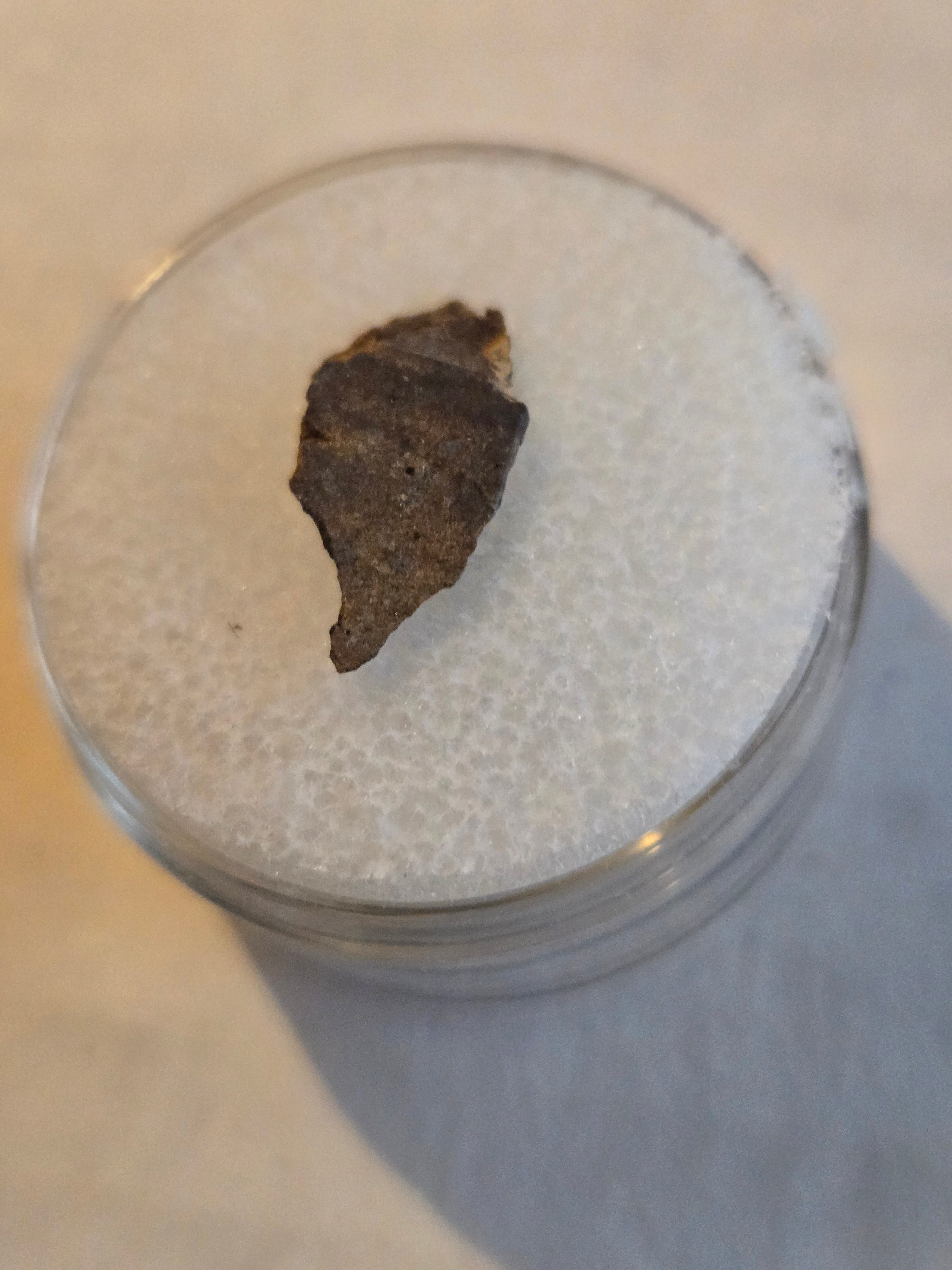 NWA 5414 meteorite