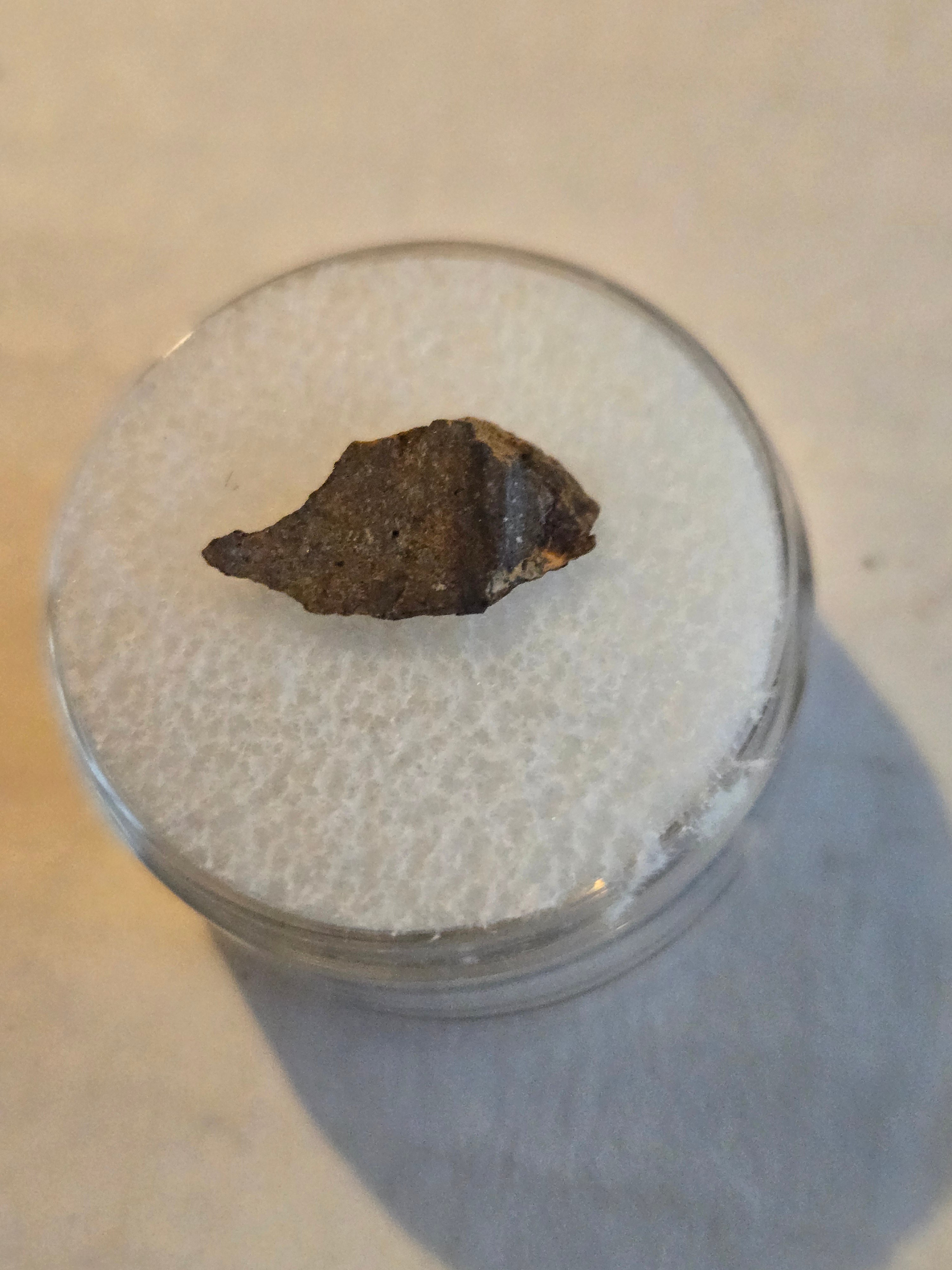 NWA 5414 meteorite