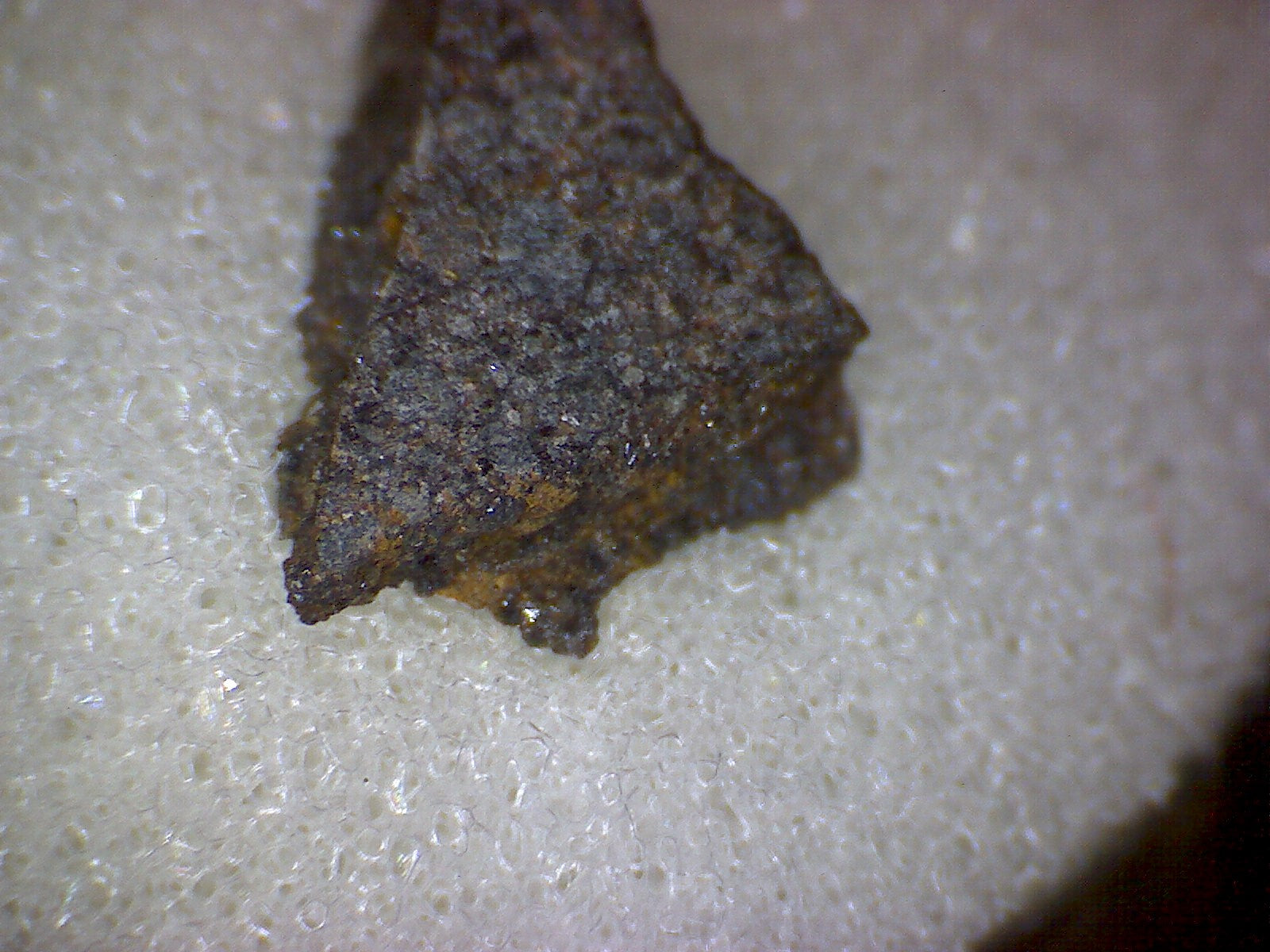 NWA 5425 meteorite specimen