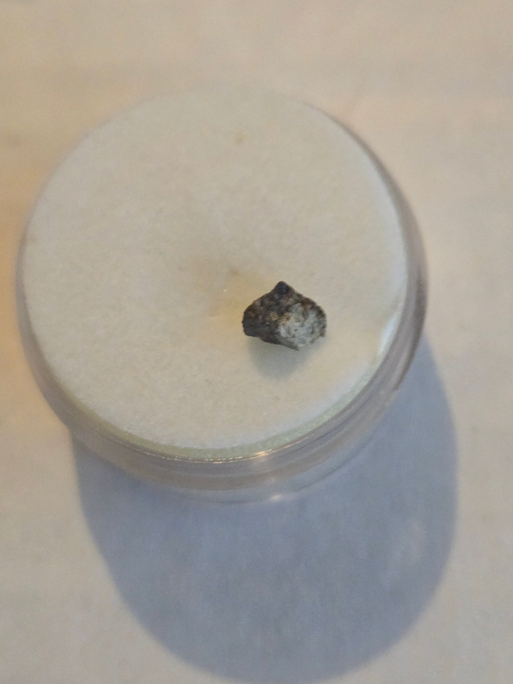 NWA 6135 meteorite