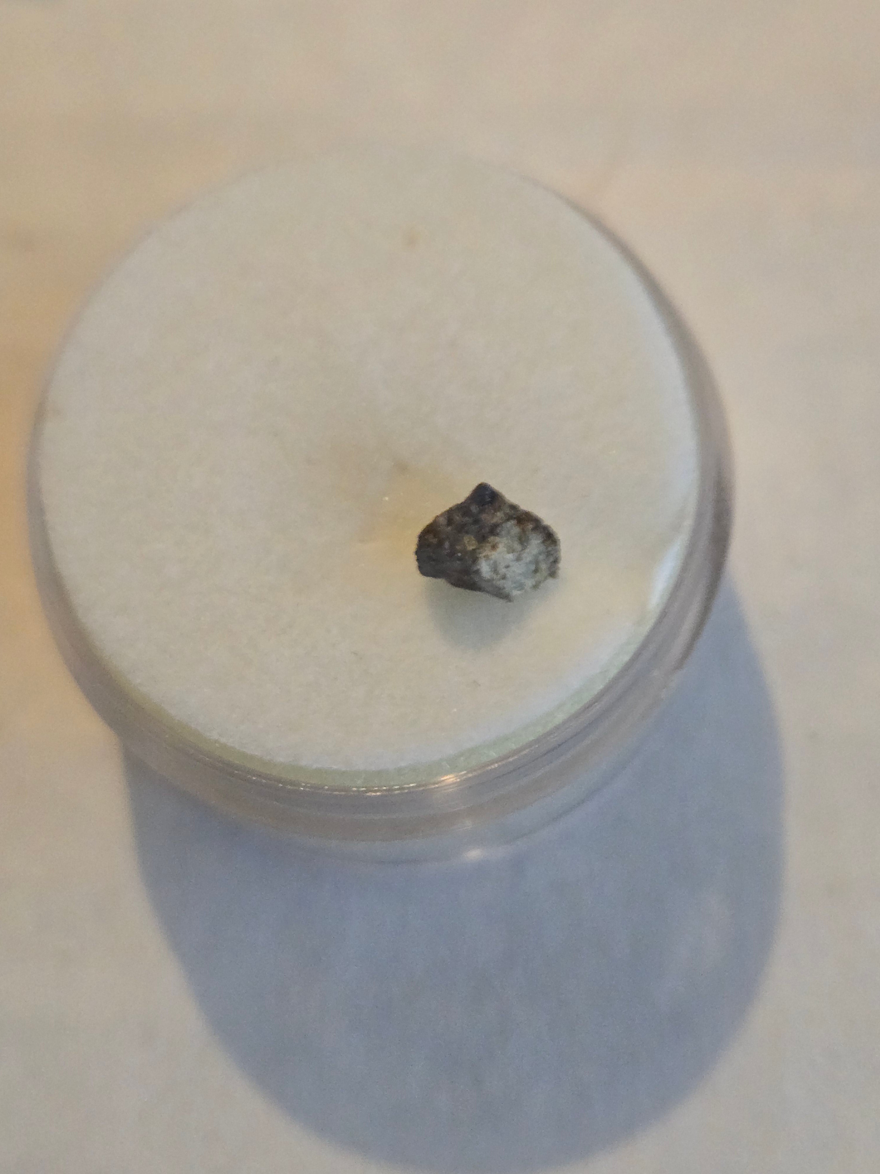 NWA 6135 meteorite