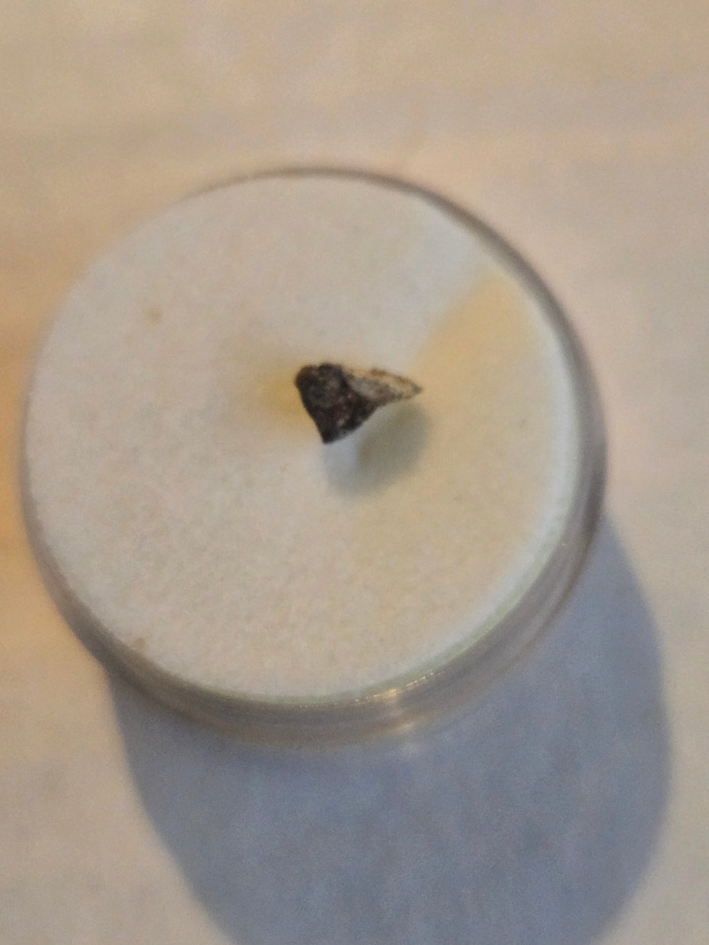 NWA 6135 meteorite