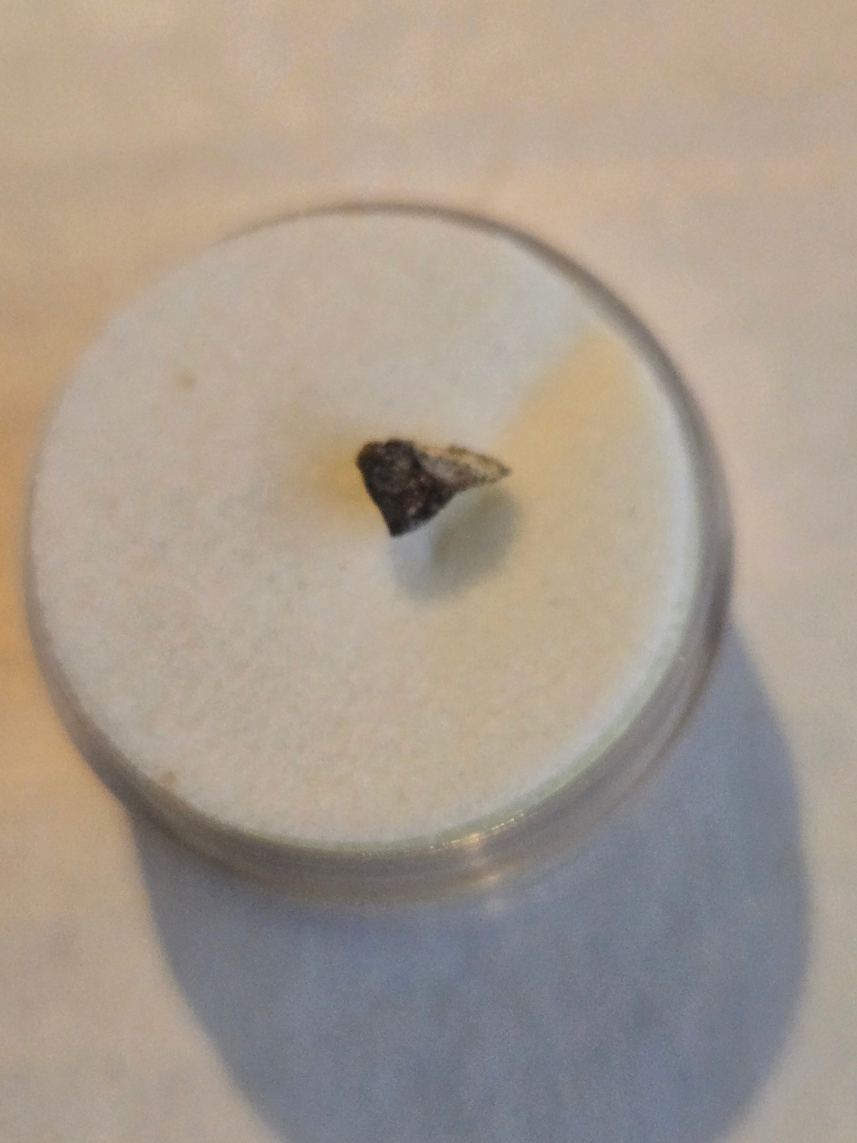 NWA 6135 meteorite