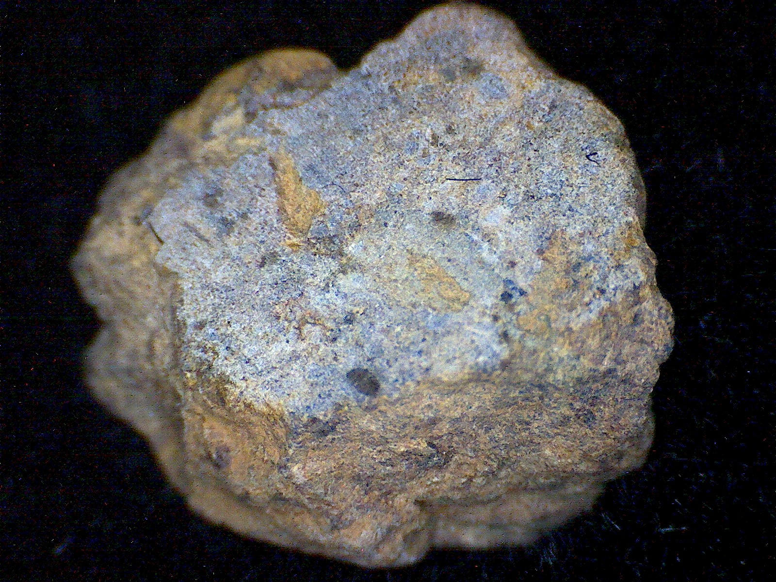 NWA 6336 meteorite specimen