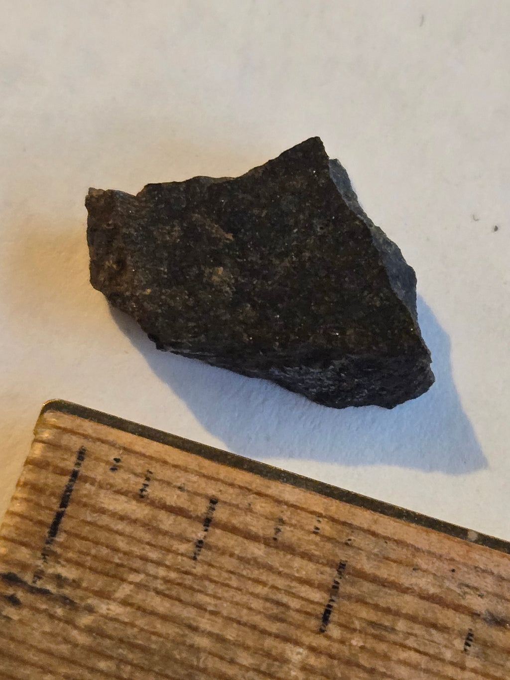NWA 6550 meteorite