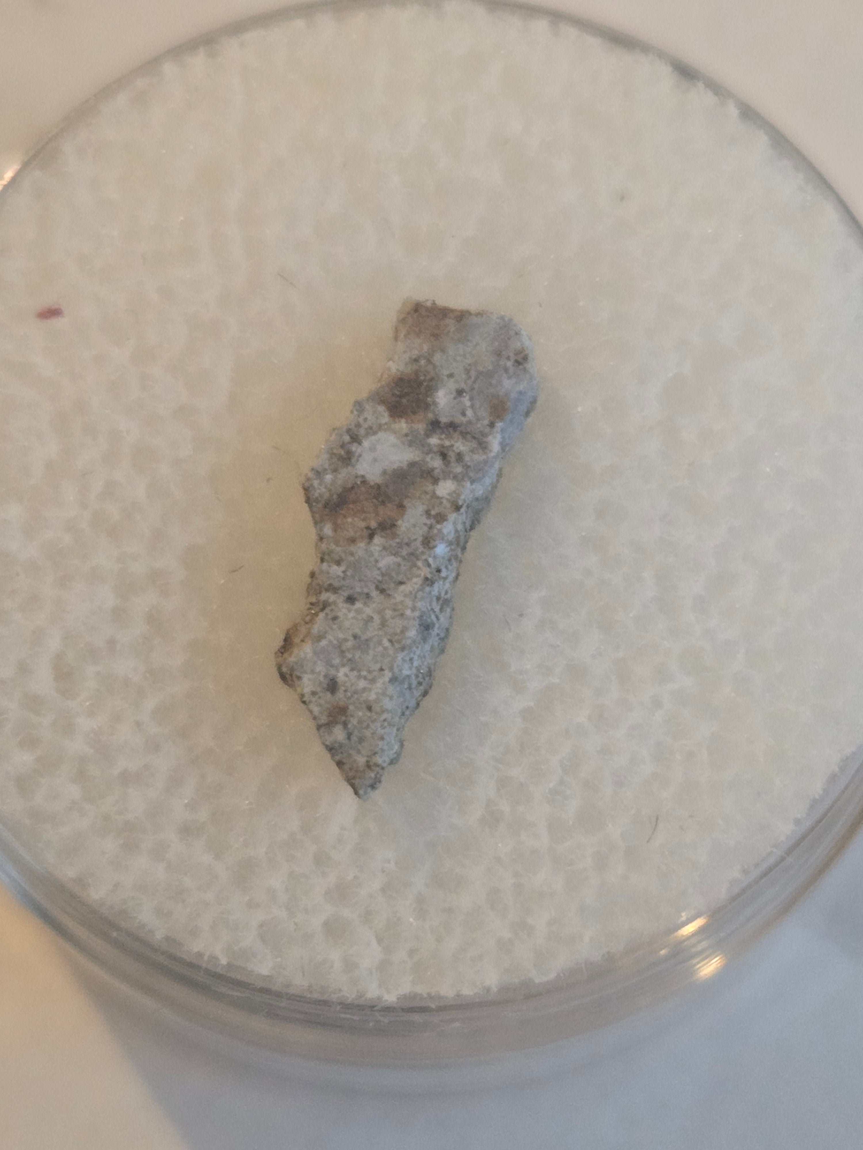 NWA 6552 meteorite