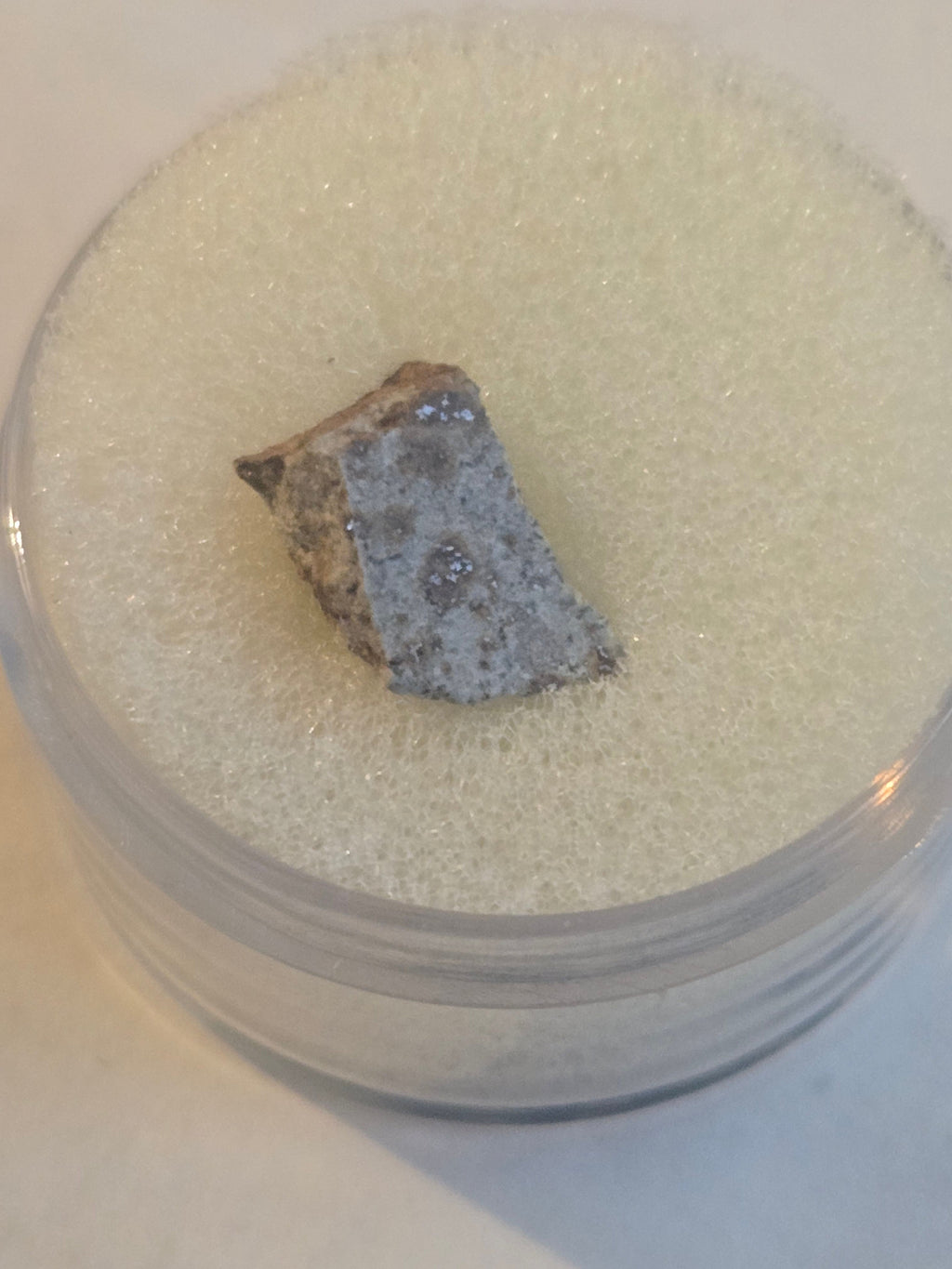NWA 7017 meteorite specimen