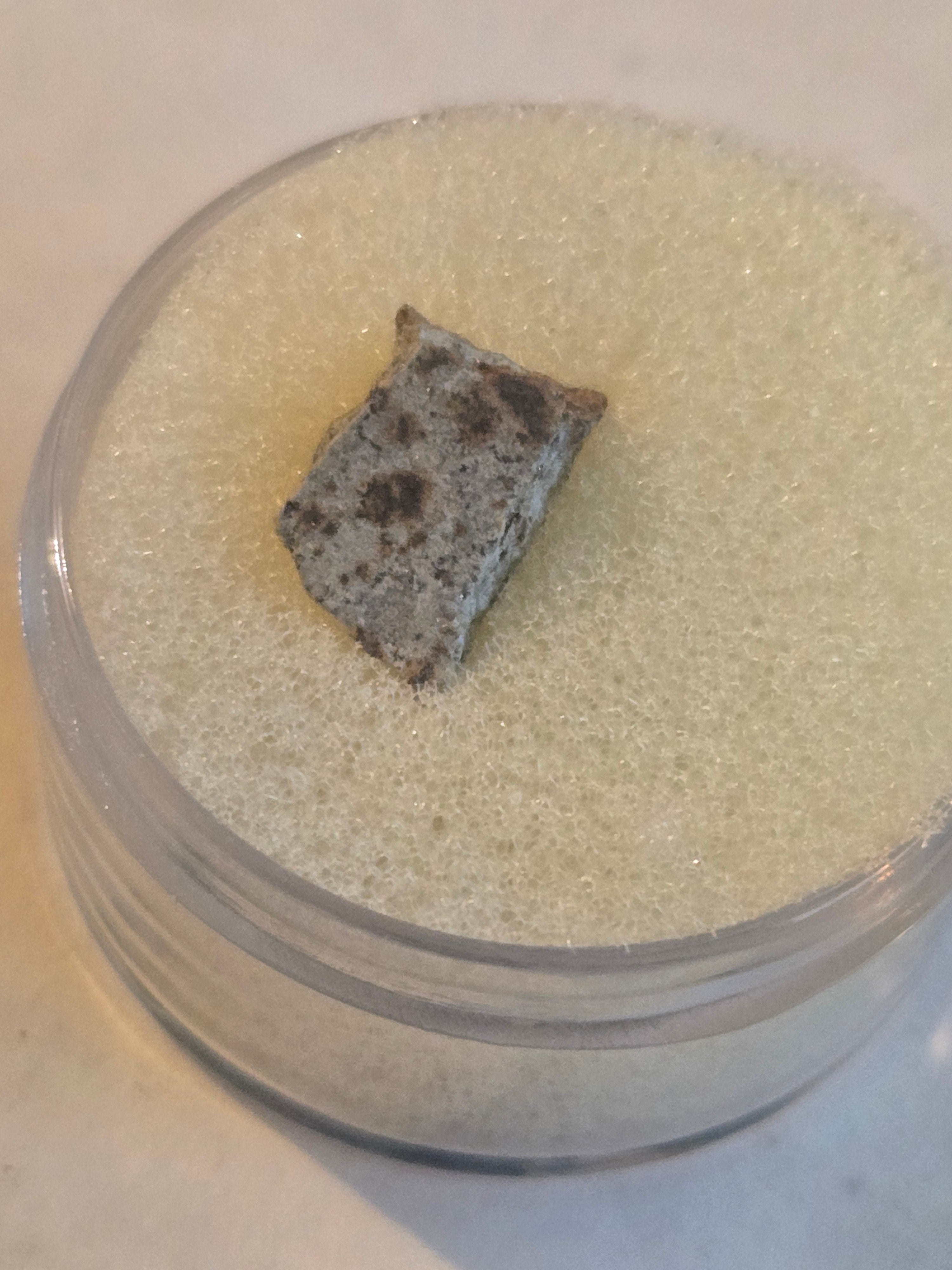 NWA 7017 meteorite specimen