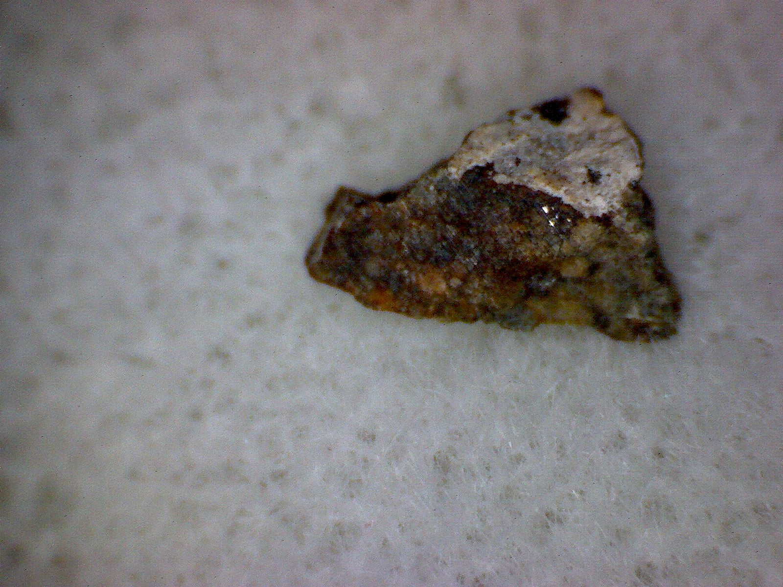 NWA 7197 meteorite specimen