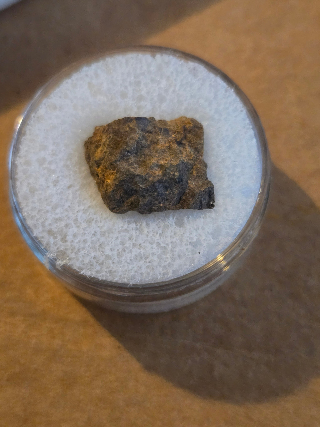 NWA 7336 meteorite