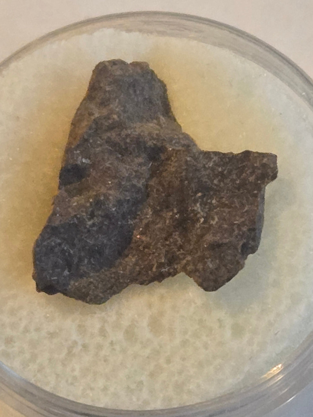 NWA 7336 meteorite specimen