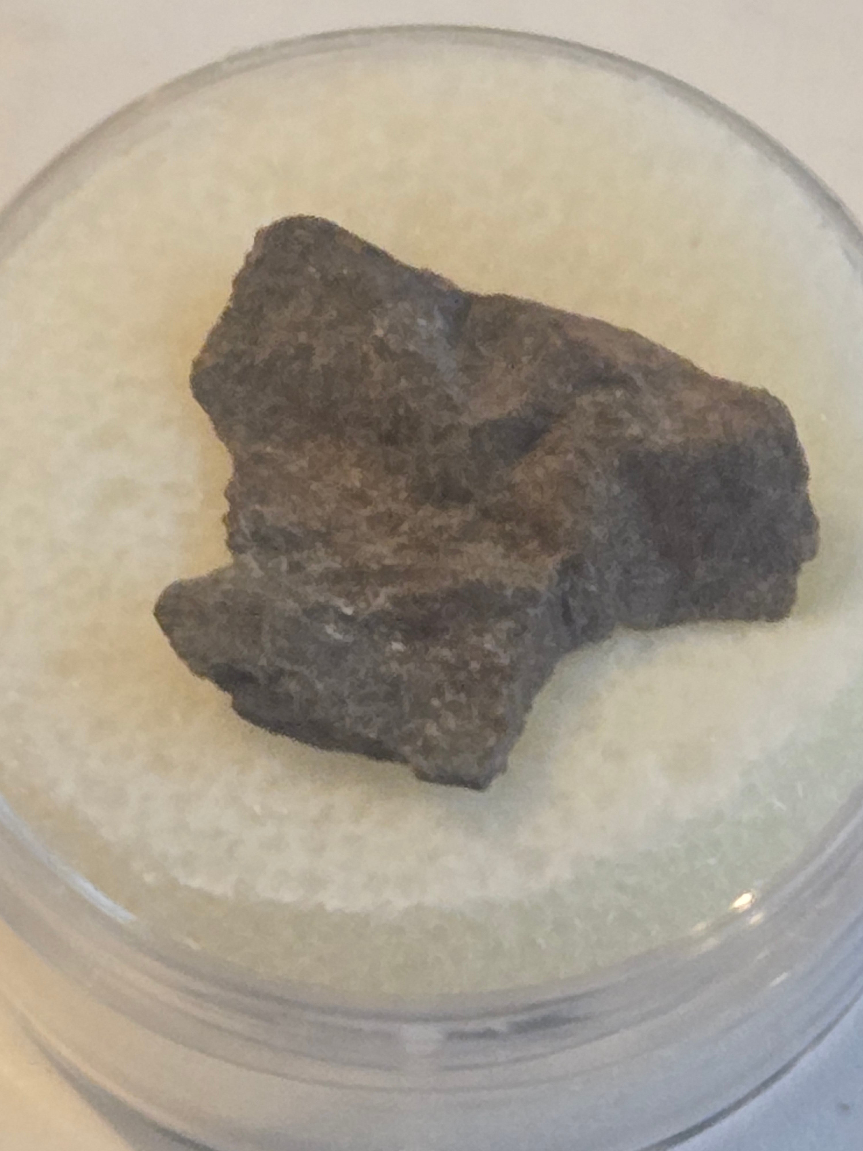 NWA 7336 meteorite specimen