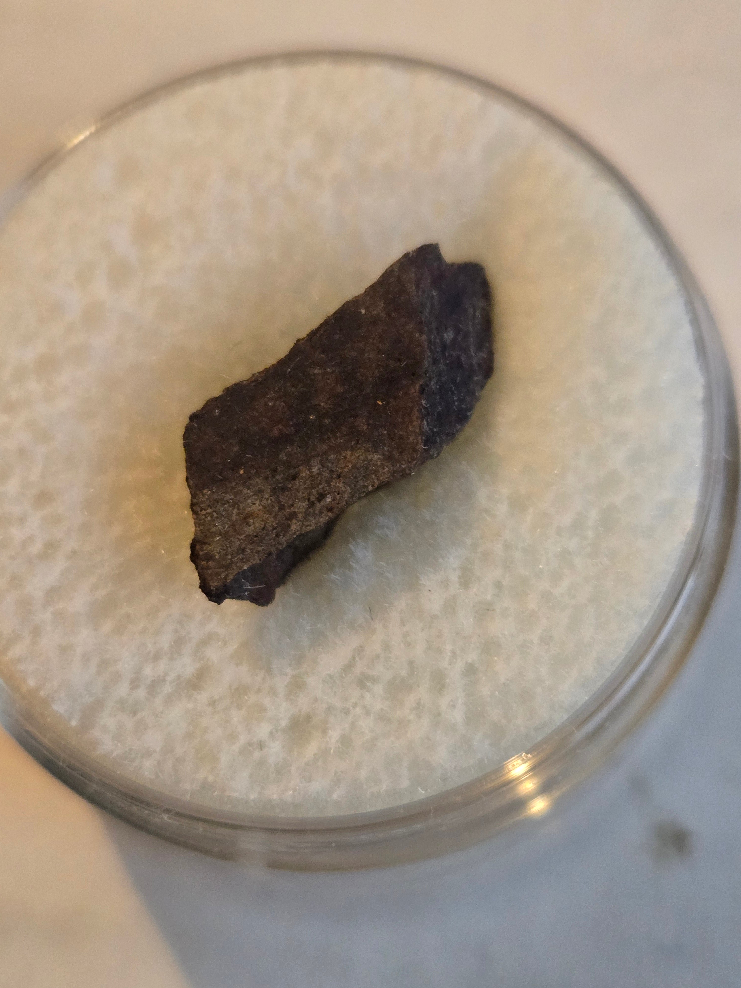 NWA 7429 meteorite