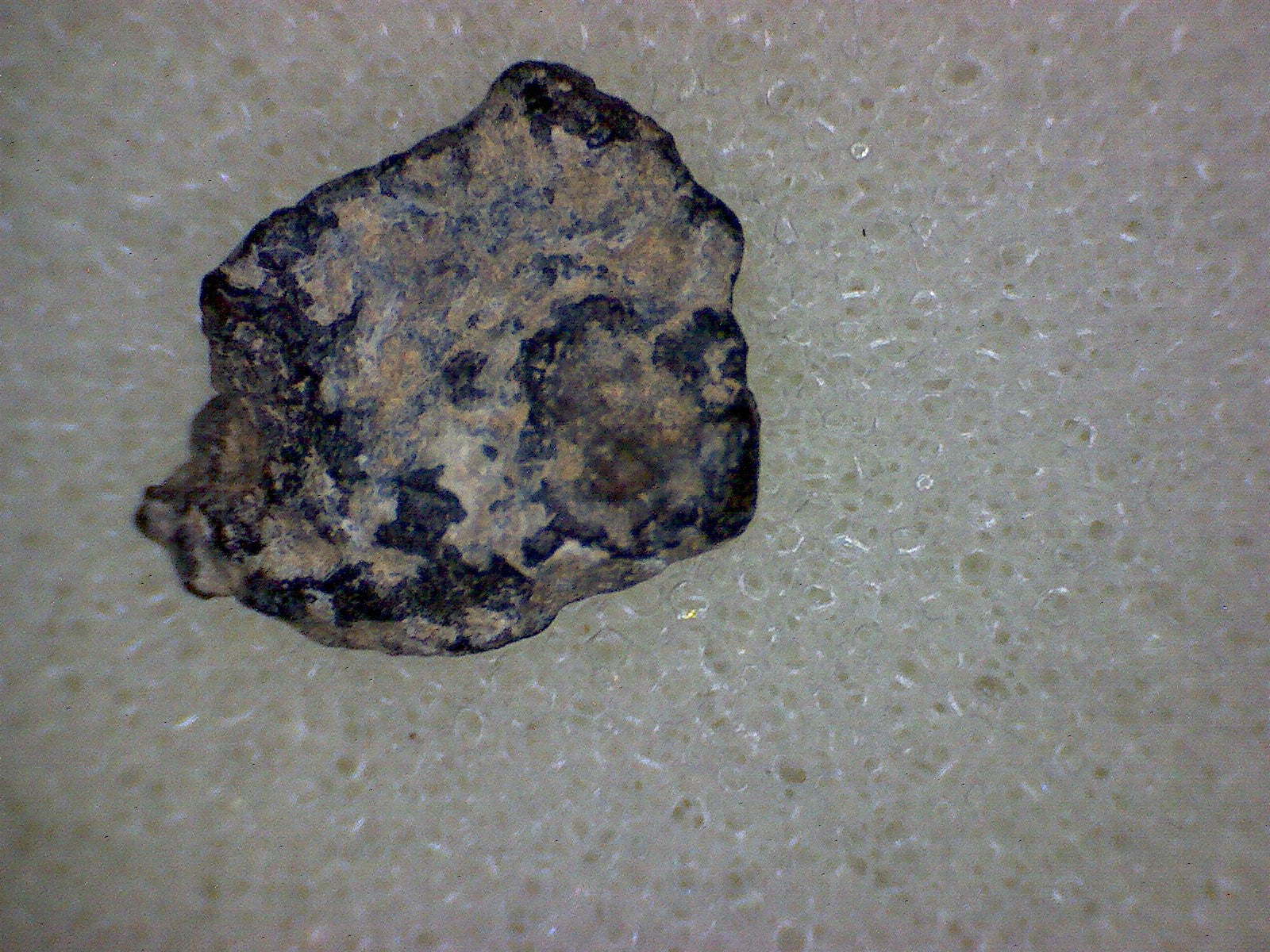 NWA 7454 meteorite specimen