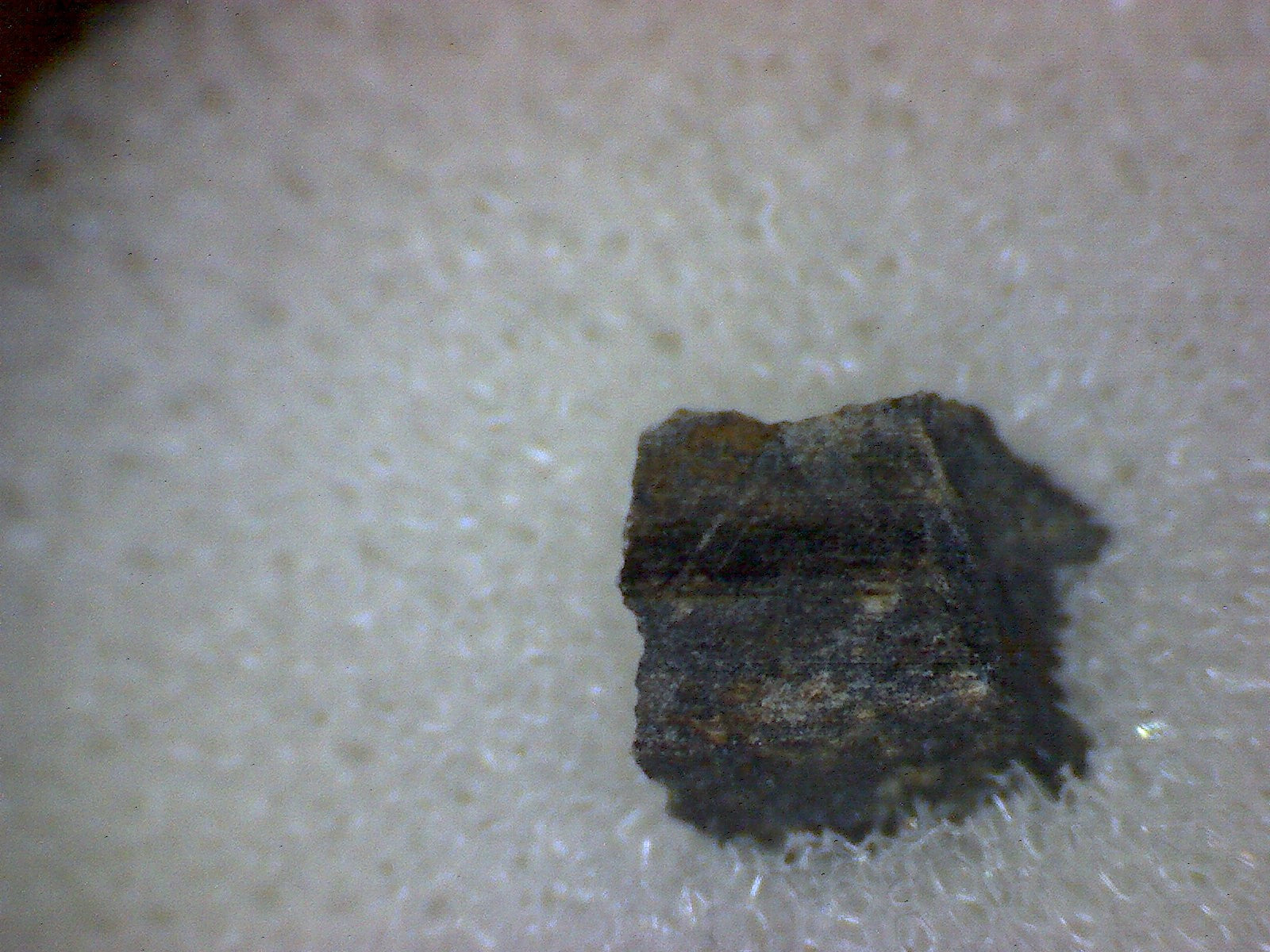 NWA 7463 meteorite specimen