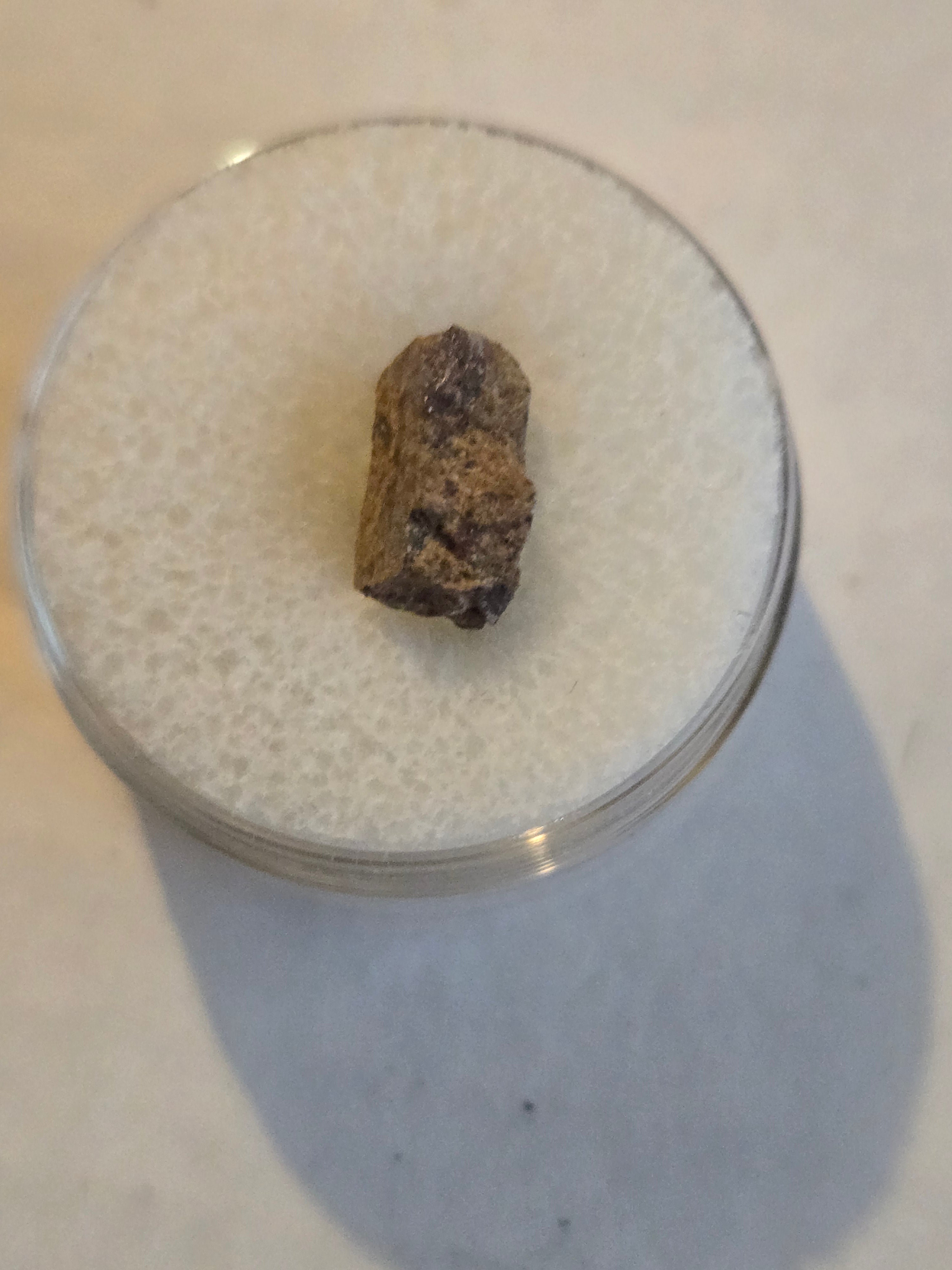 NWA 7900 meteorite