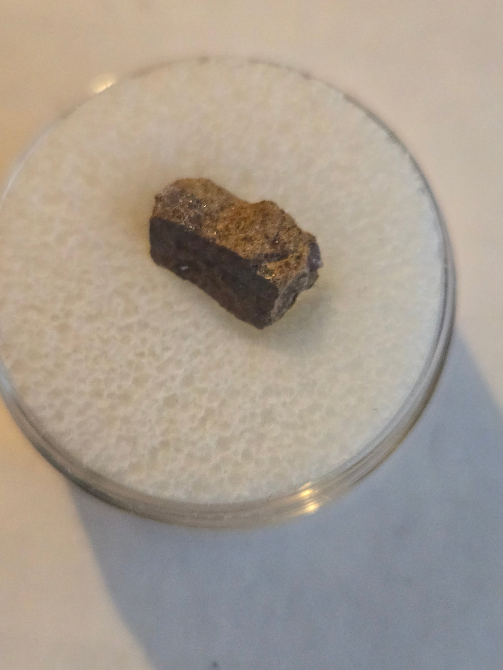 NWA 7900 meteorite