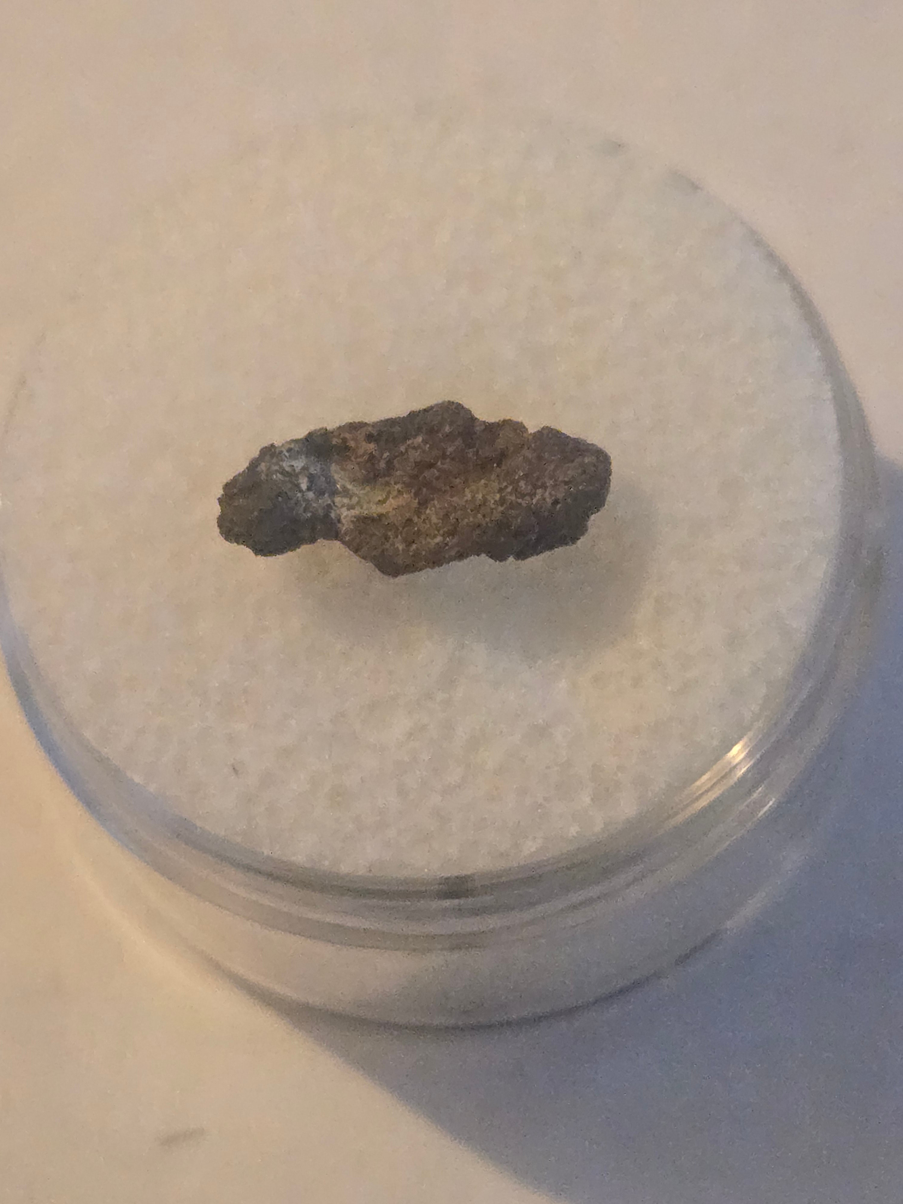 NWA 7920 meteorite