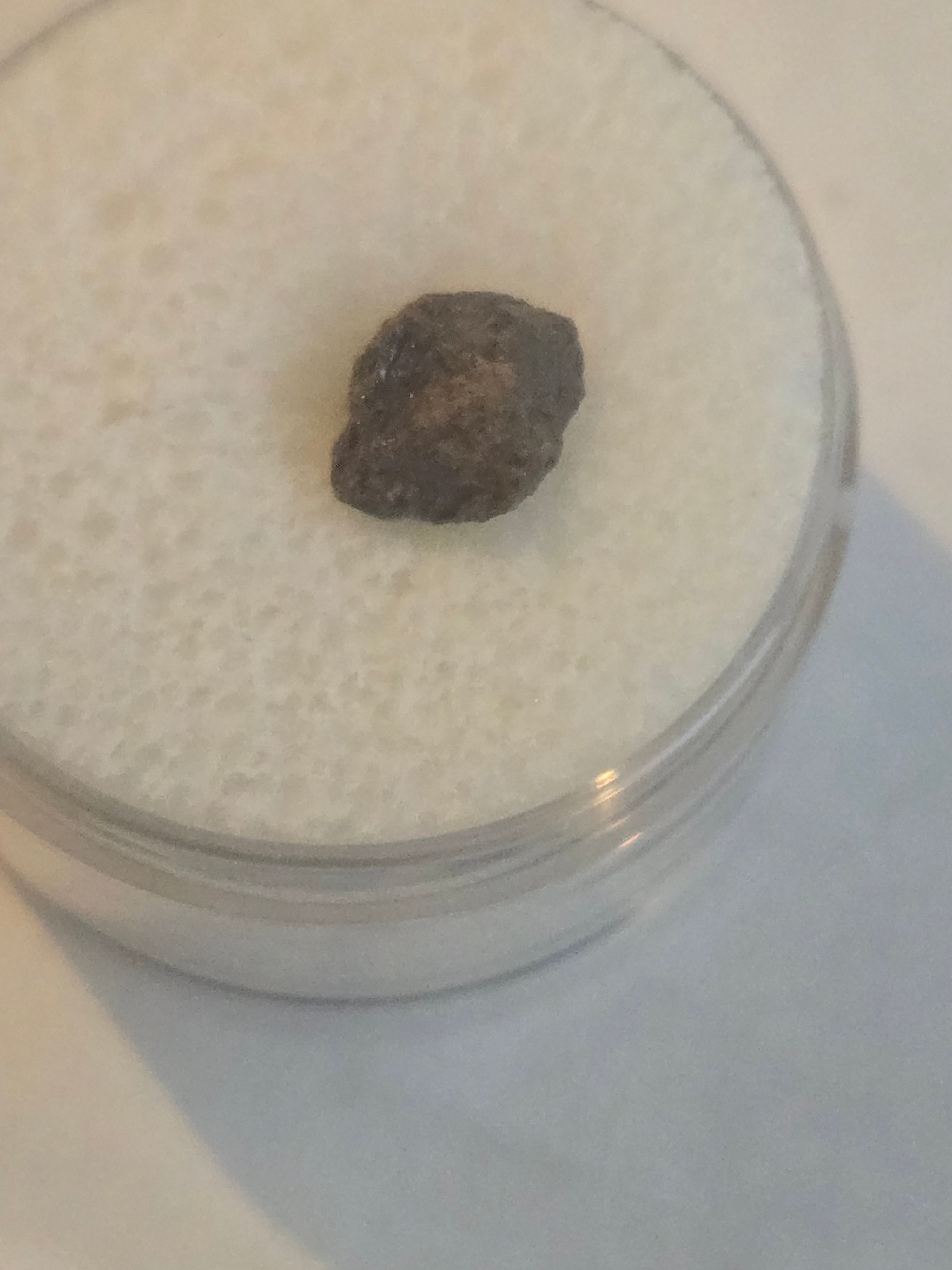 NWA 7920 meteorite