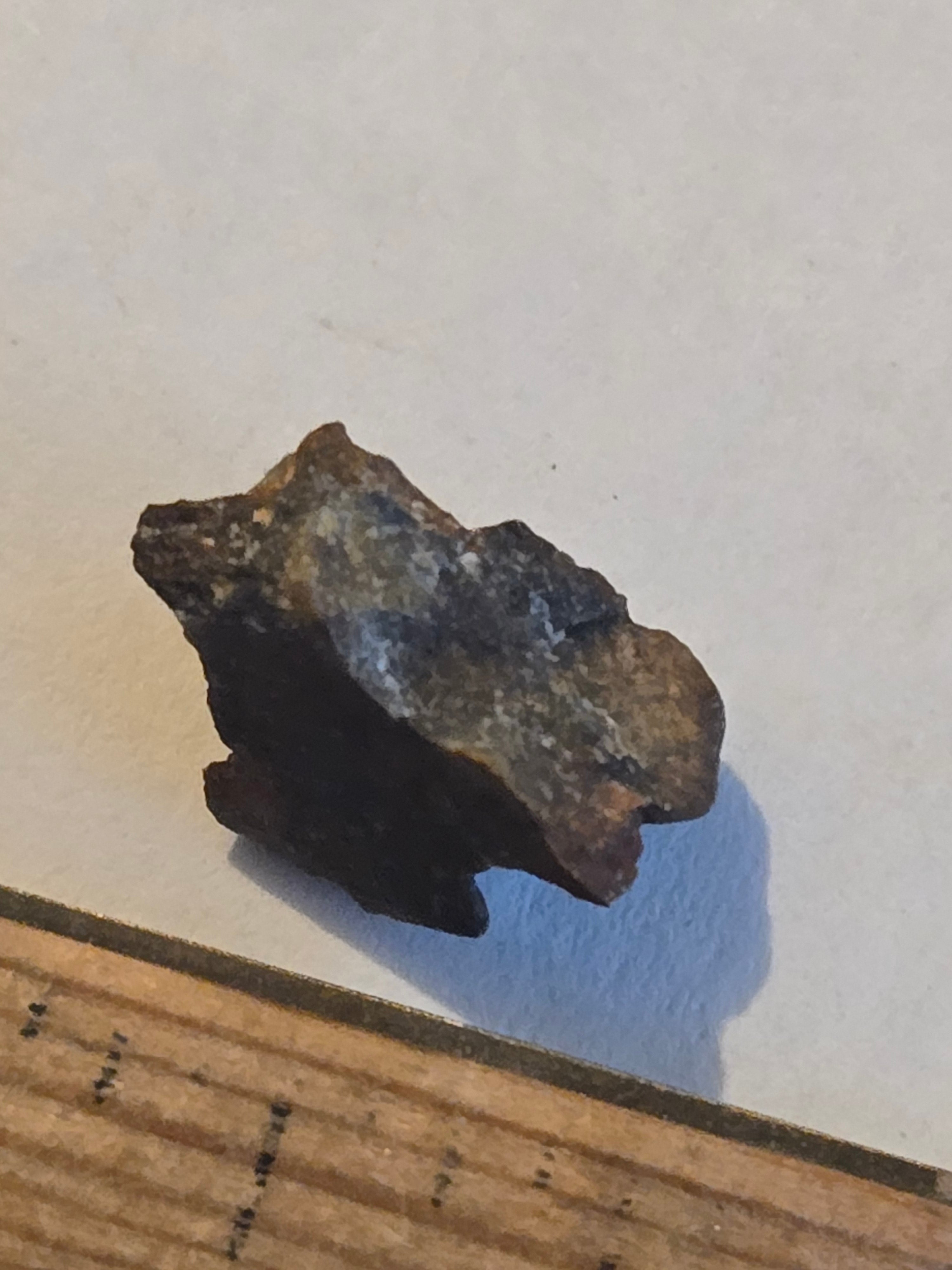 NWA 8036 meteorite