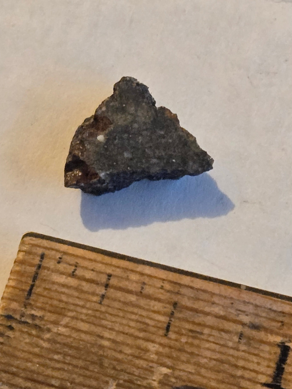 NWA 8036 meteorite