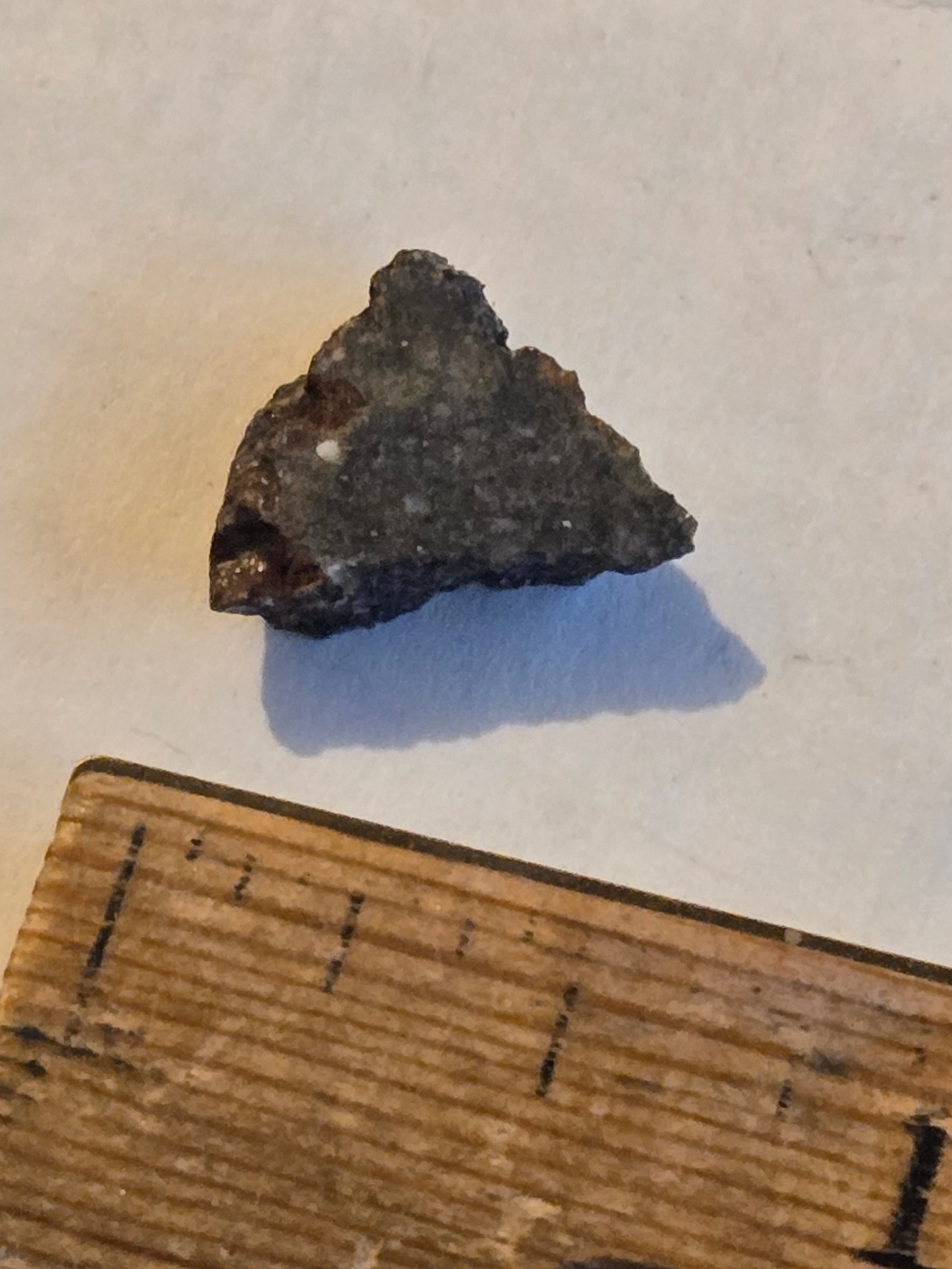 NWA 8036 meteorite