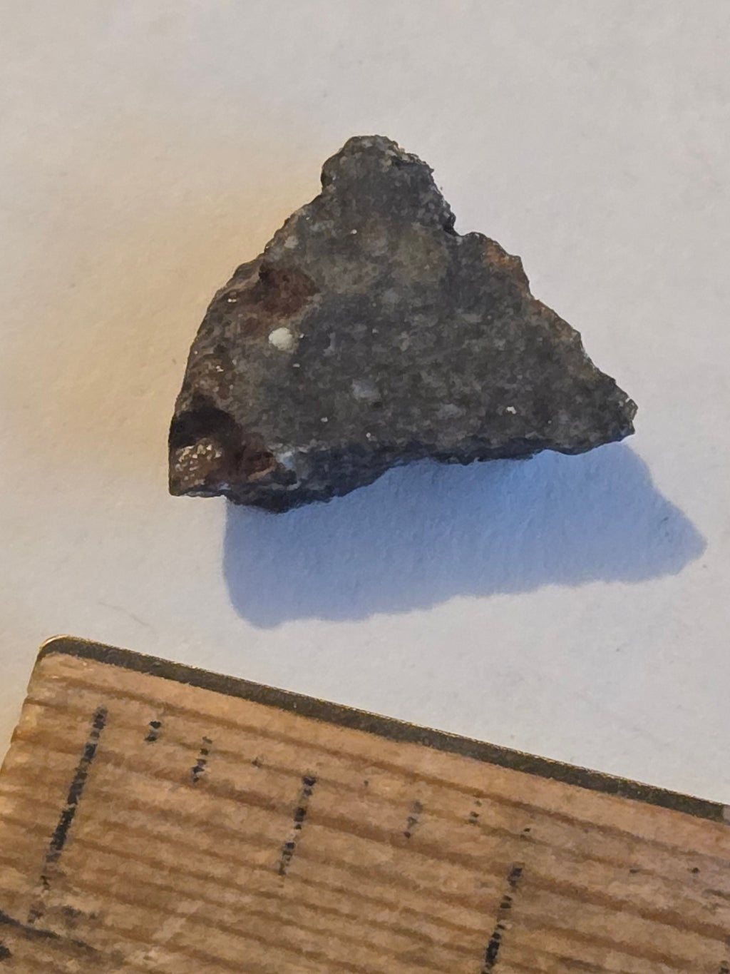 NWA 8036 meteorite