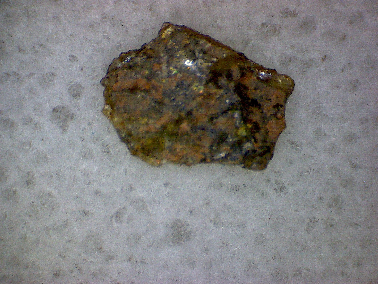 NWA 8043 Meteorite Specimen