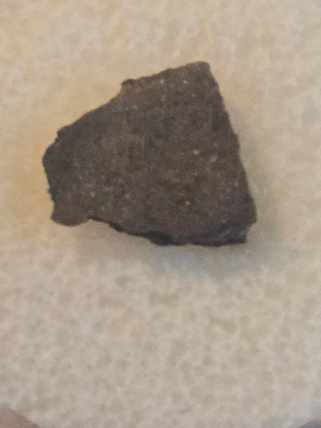 NWA 8217 meteorite