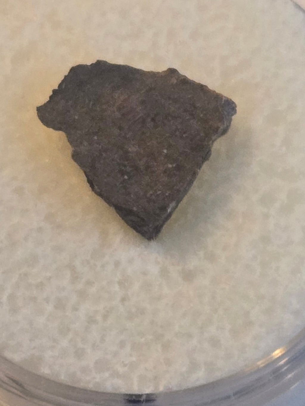 NWA 8217 meteorite