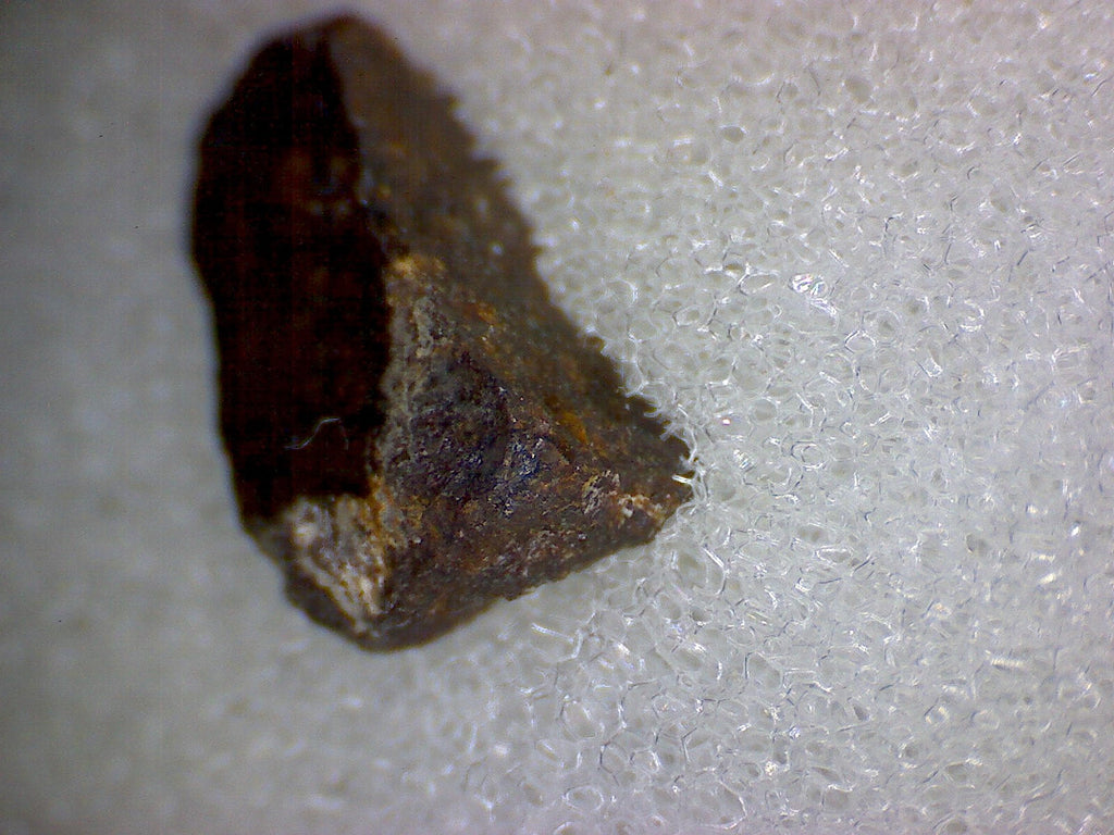Nye County Meteorite Specimen
