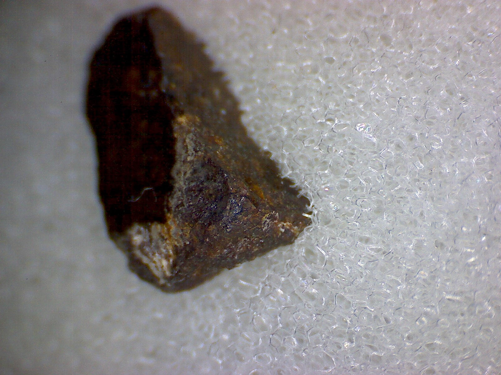 Nye County Meteorite Specimen