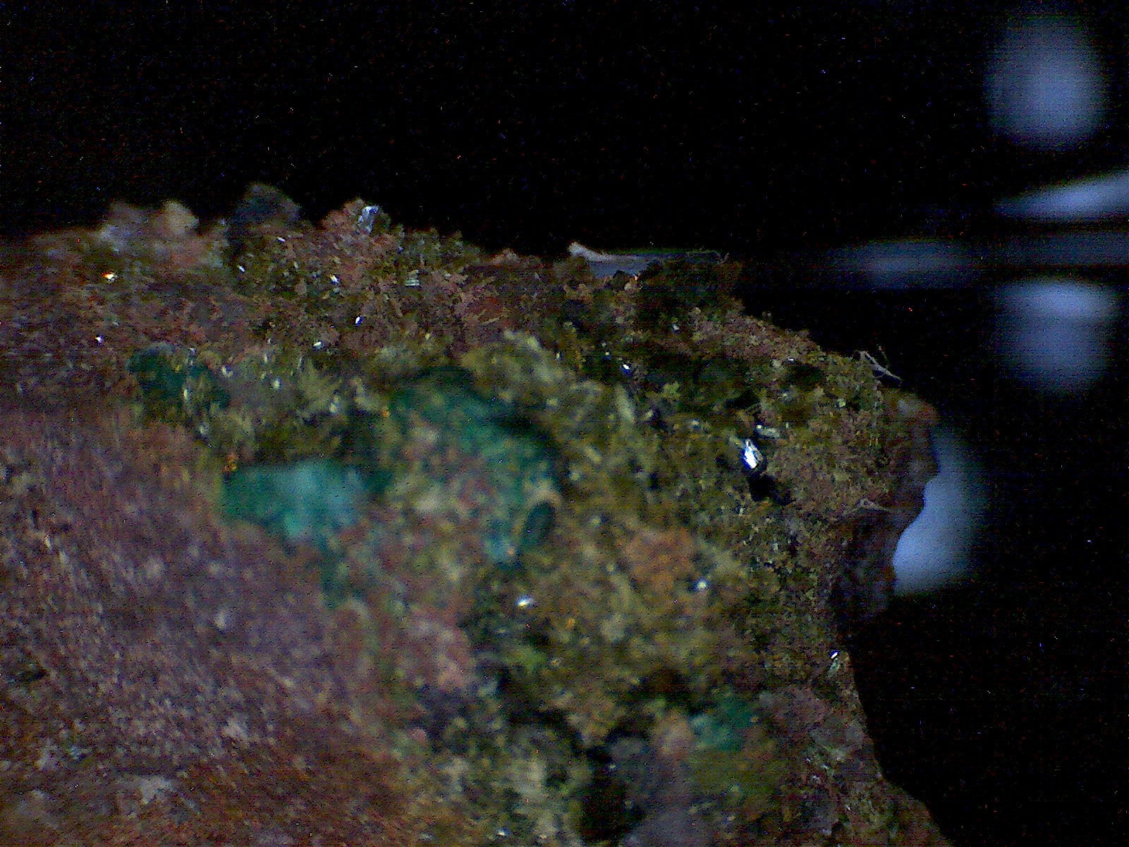 Olivenite w Quartz