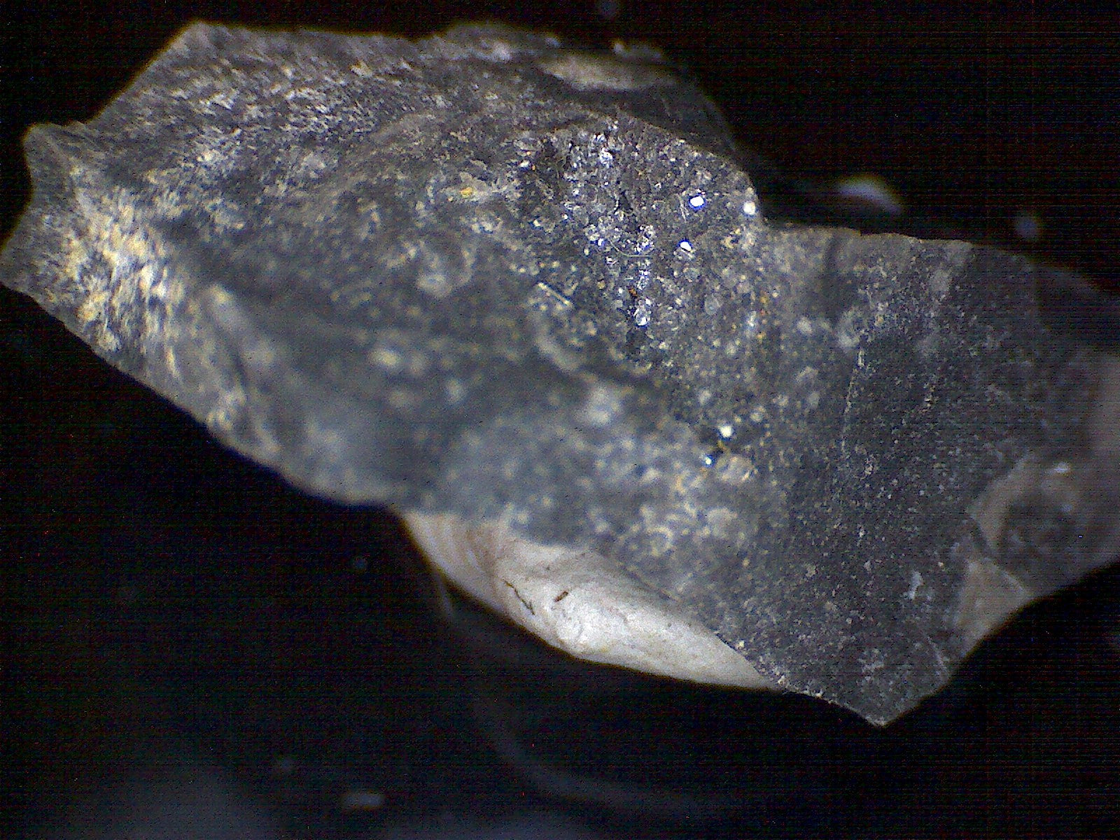 Onoratoite